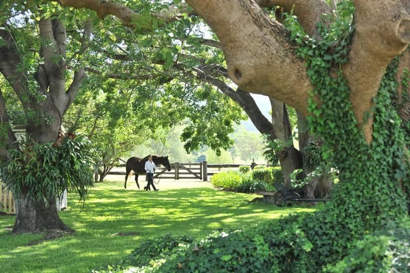 COLINTON QLD 4314, Colinton - Image 1
