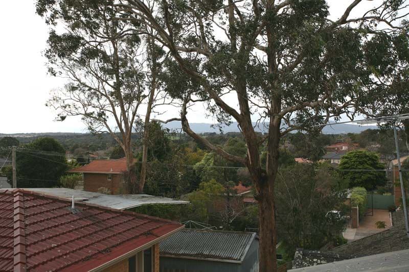 1 Rolls Court, GLEN WAVERLEY VIC 3150, Glen Waverley - Thumbnail 8