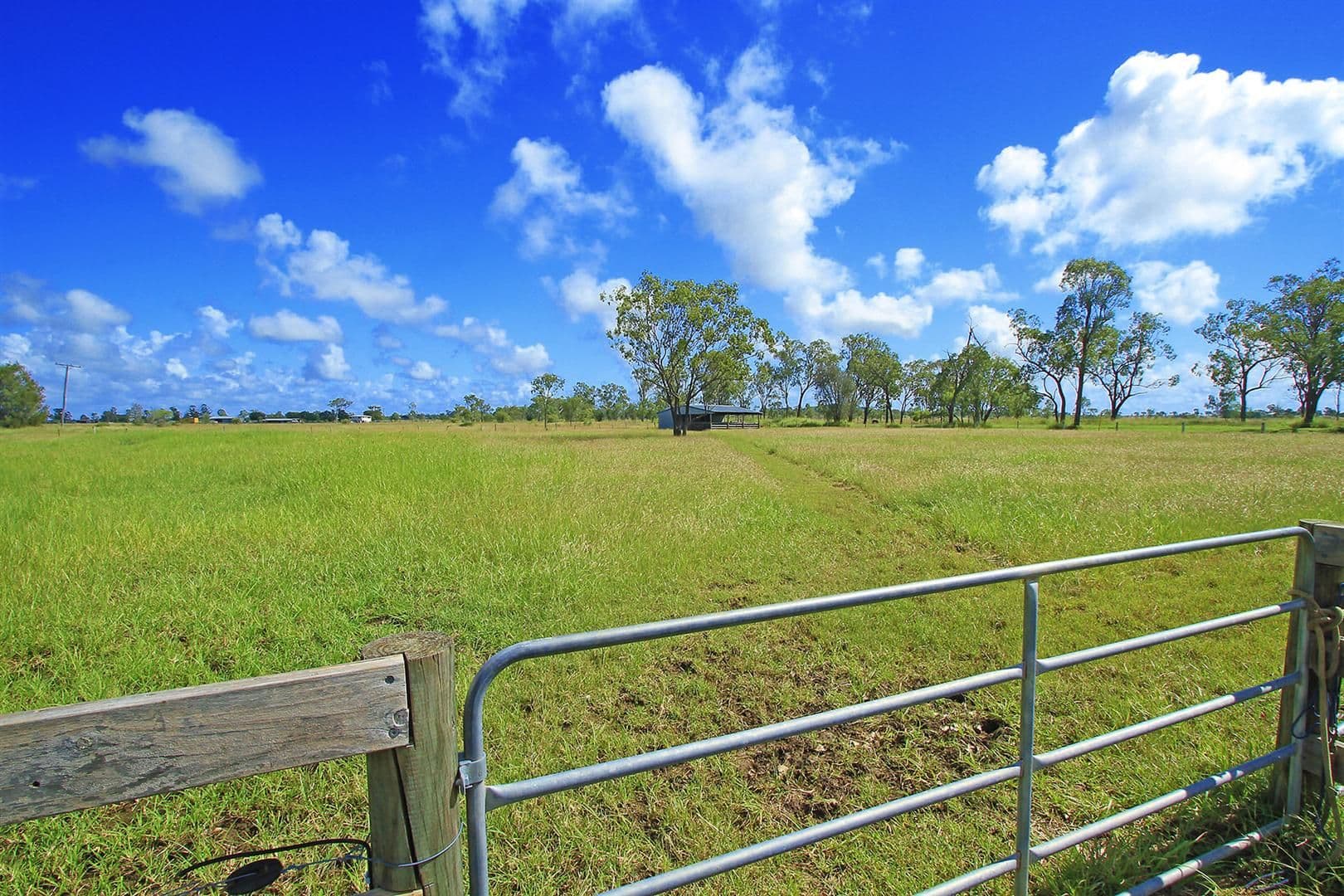 985 Ridgelands Road, ALTON DOWNS QLD 4702, Alton Downs - Thumbnail 4