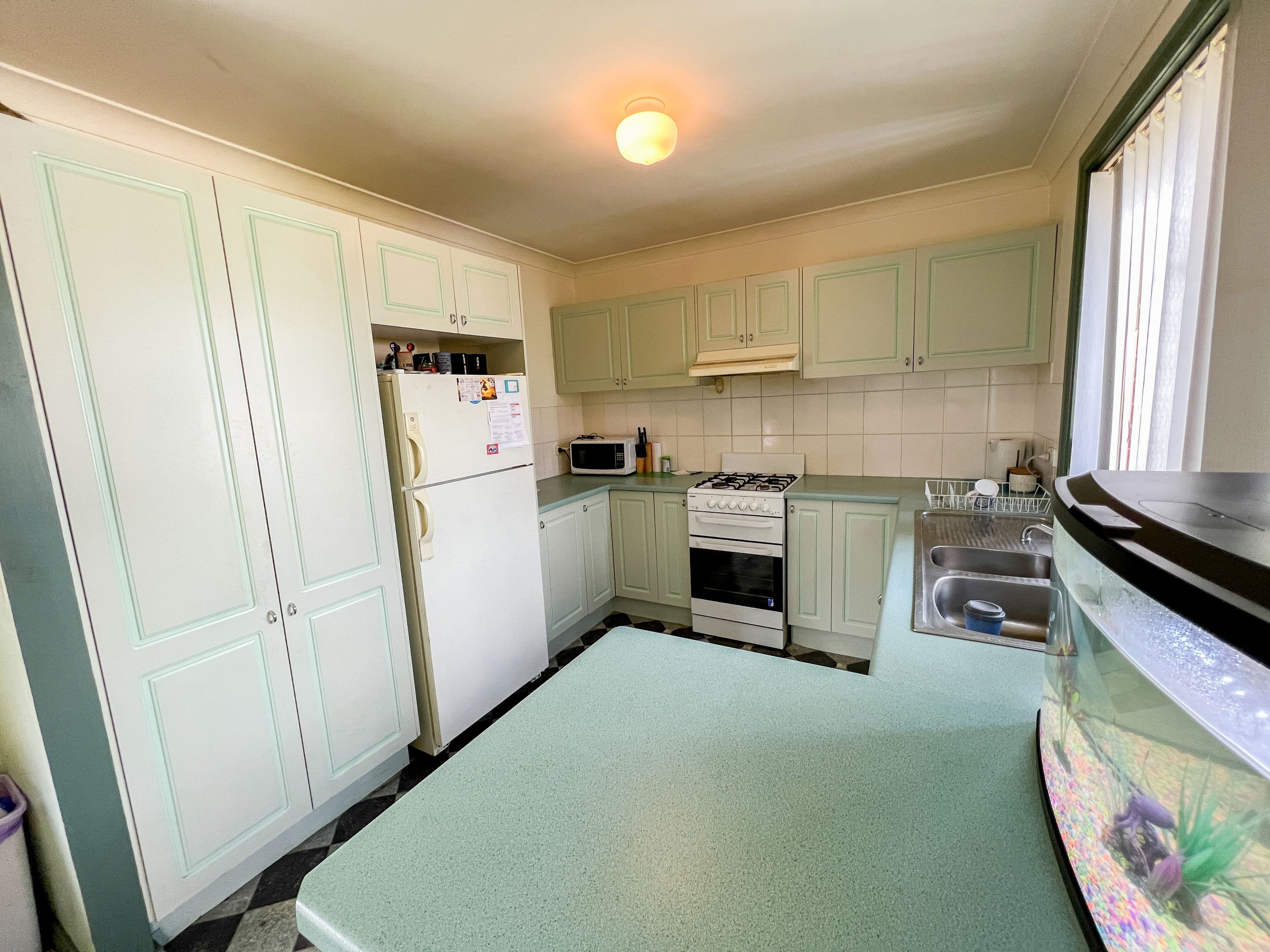 16 Herborn Street, Oberon NSW 2787, Oberon - Thumbnail 6