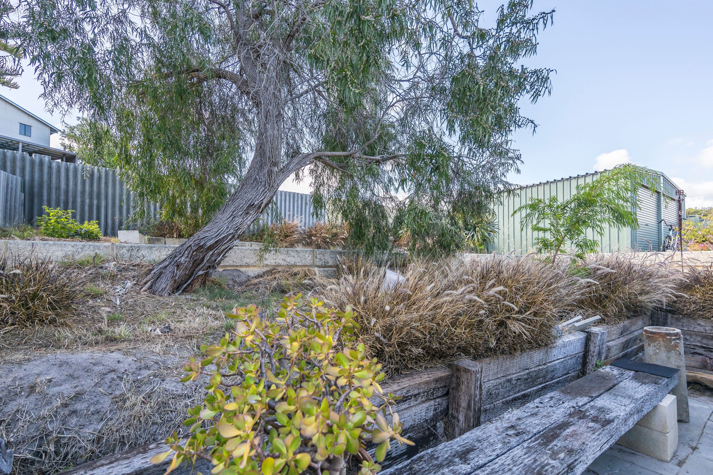35 Wilkie Avenue, Yanchep WA 6035, Yanchep - Thumbnail 3