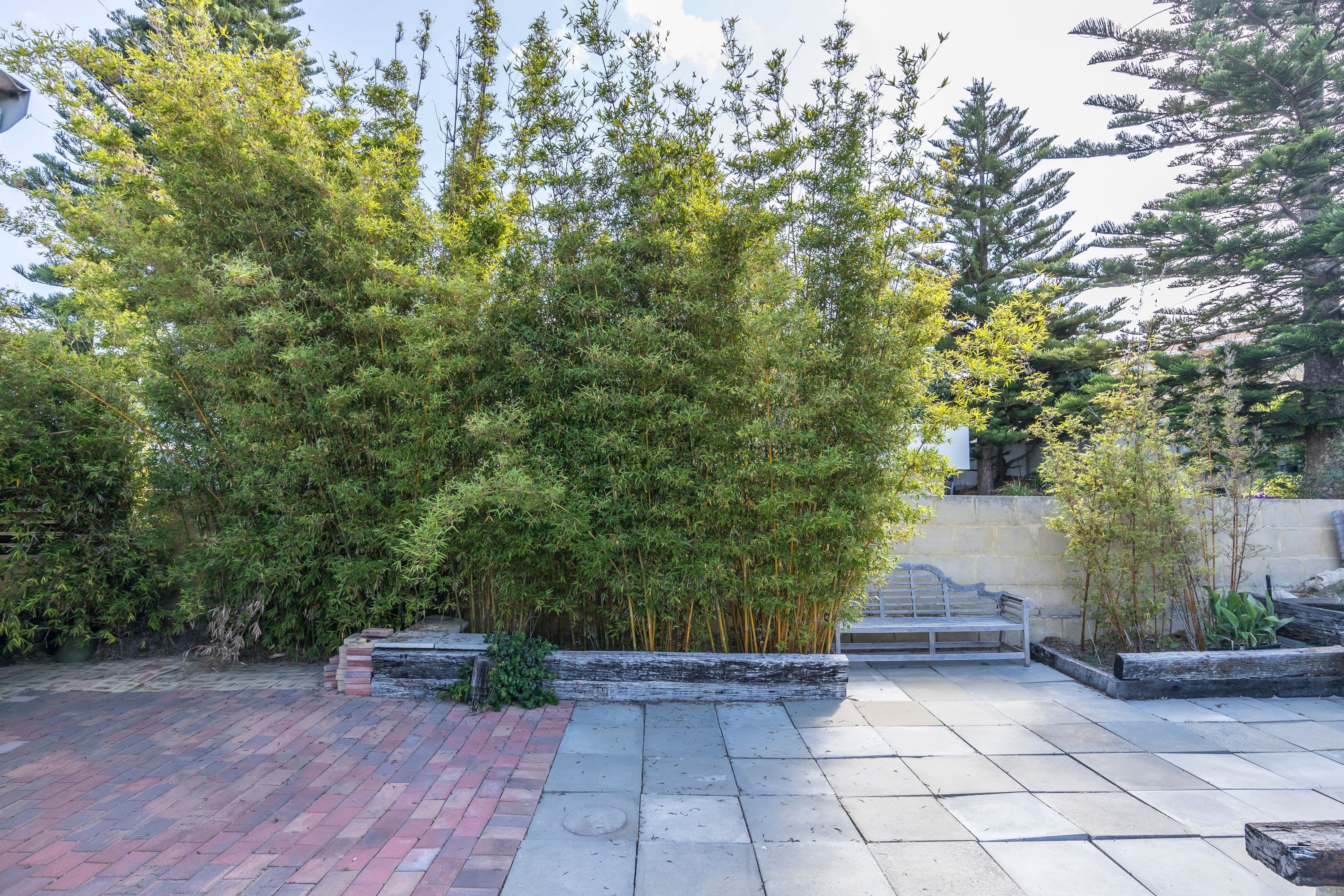 35 Wilkie Avenue, Yanchep WA 6035, Yanchep - Thumbnail 4