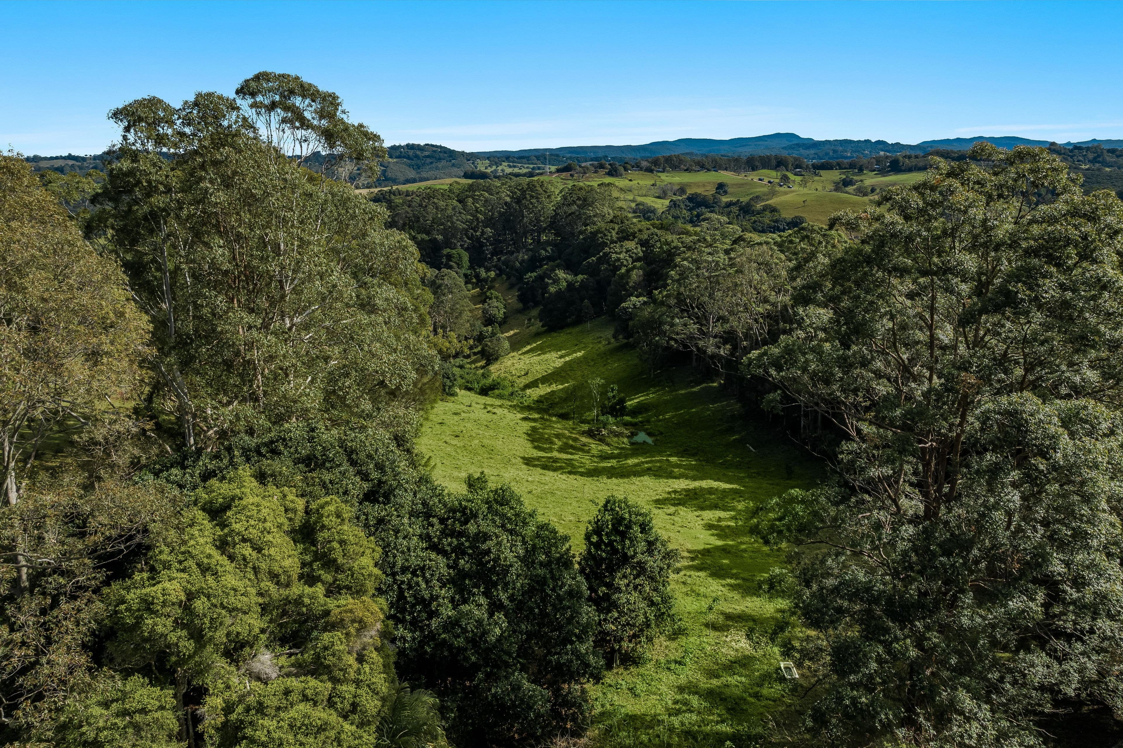 222 Friday Hut Road, Possum Creek NSW 2479, Possum Creek - Image 1