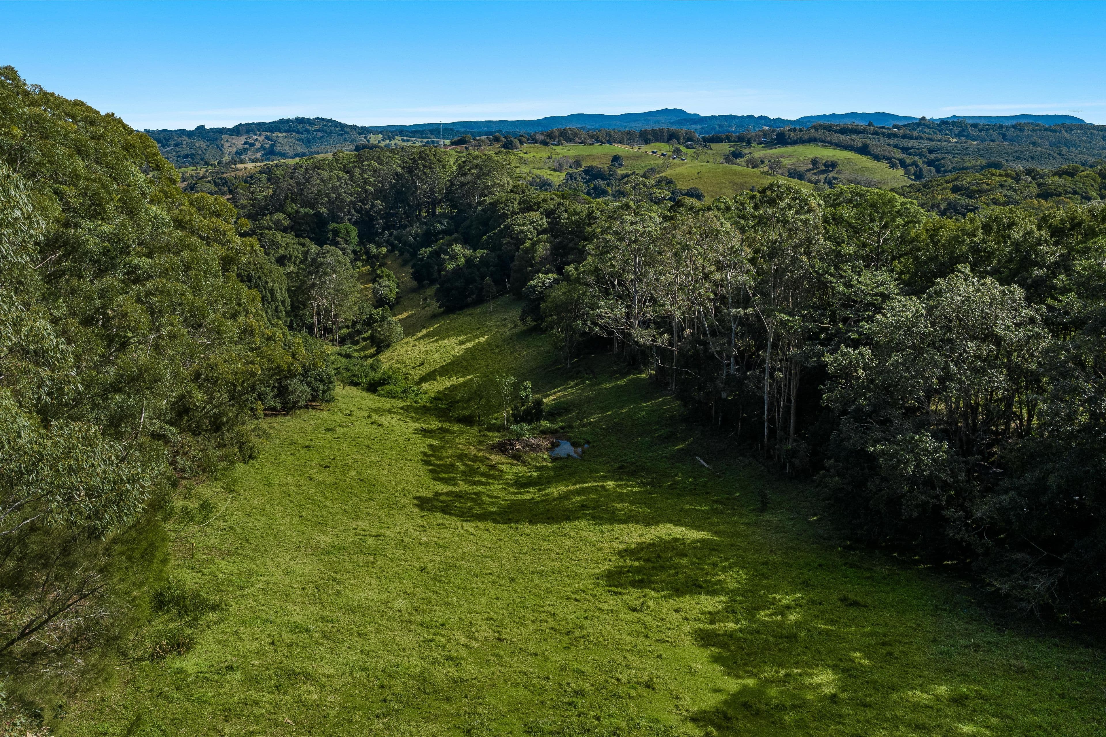 222 Friday Hut Road, Possum Creek NSW 2479, Possum Creek - Thumbnail 3
