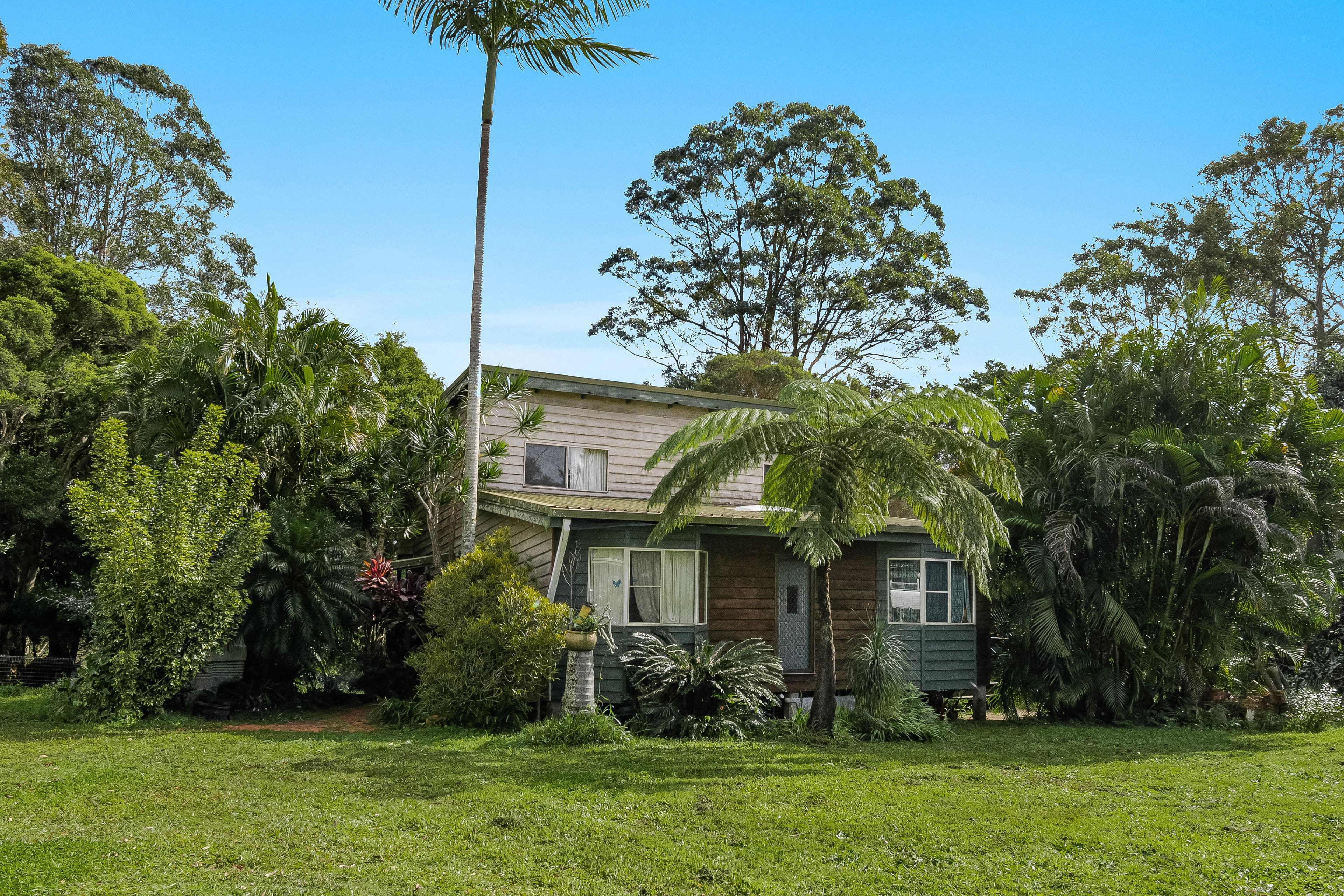 222 Friday Hut Road, Possum Creek NSW 2479, Possum Creek - Thumbnail 4