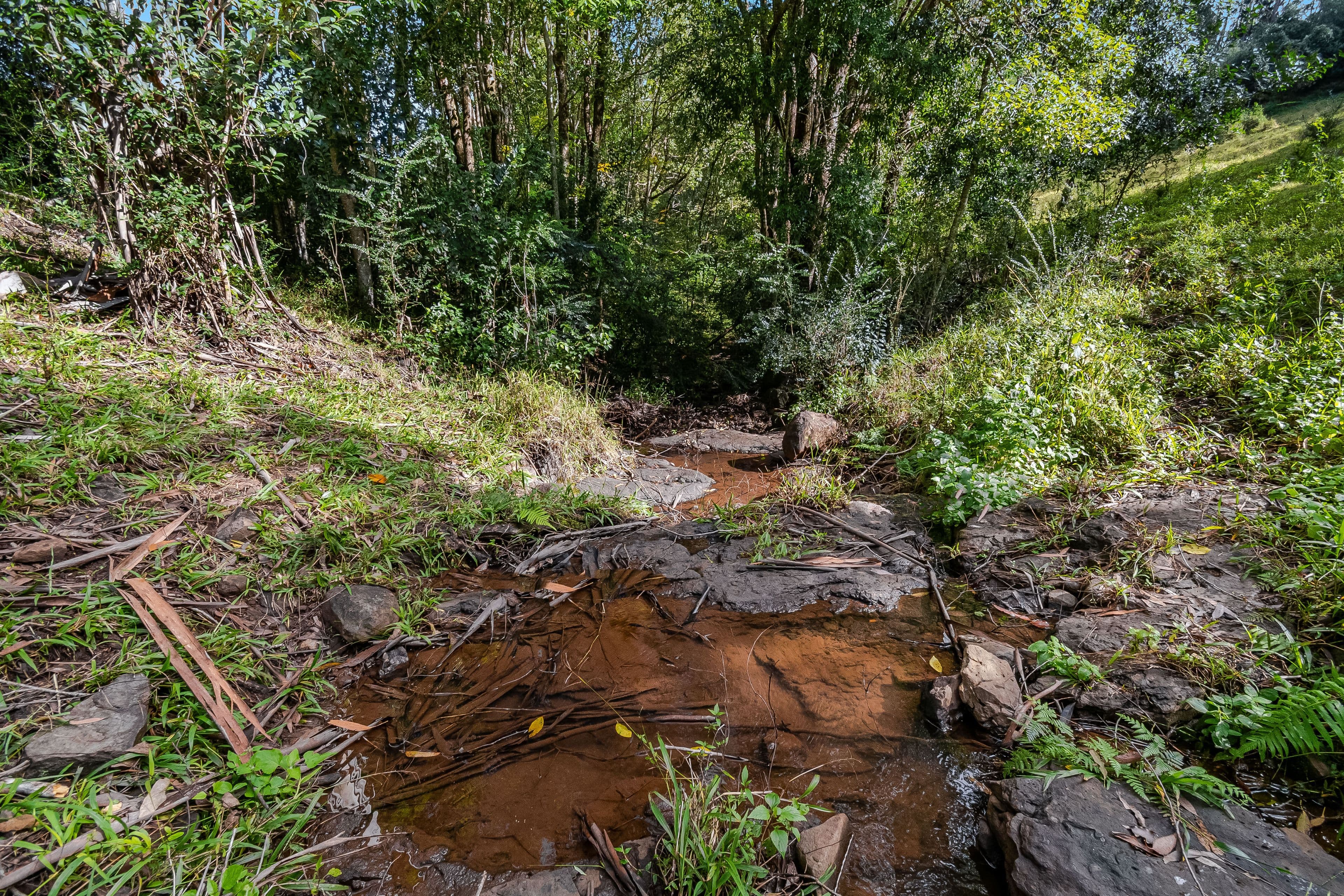 222 Friday Hut Road, Possum Creek NSW 2479, Possum Creek - Thumbnail 5