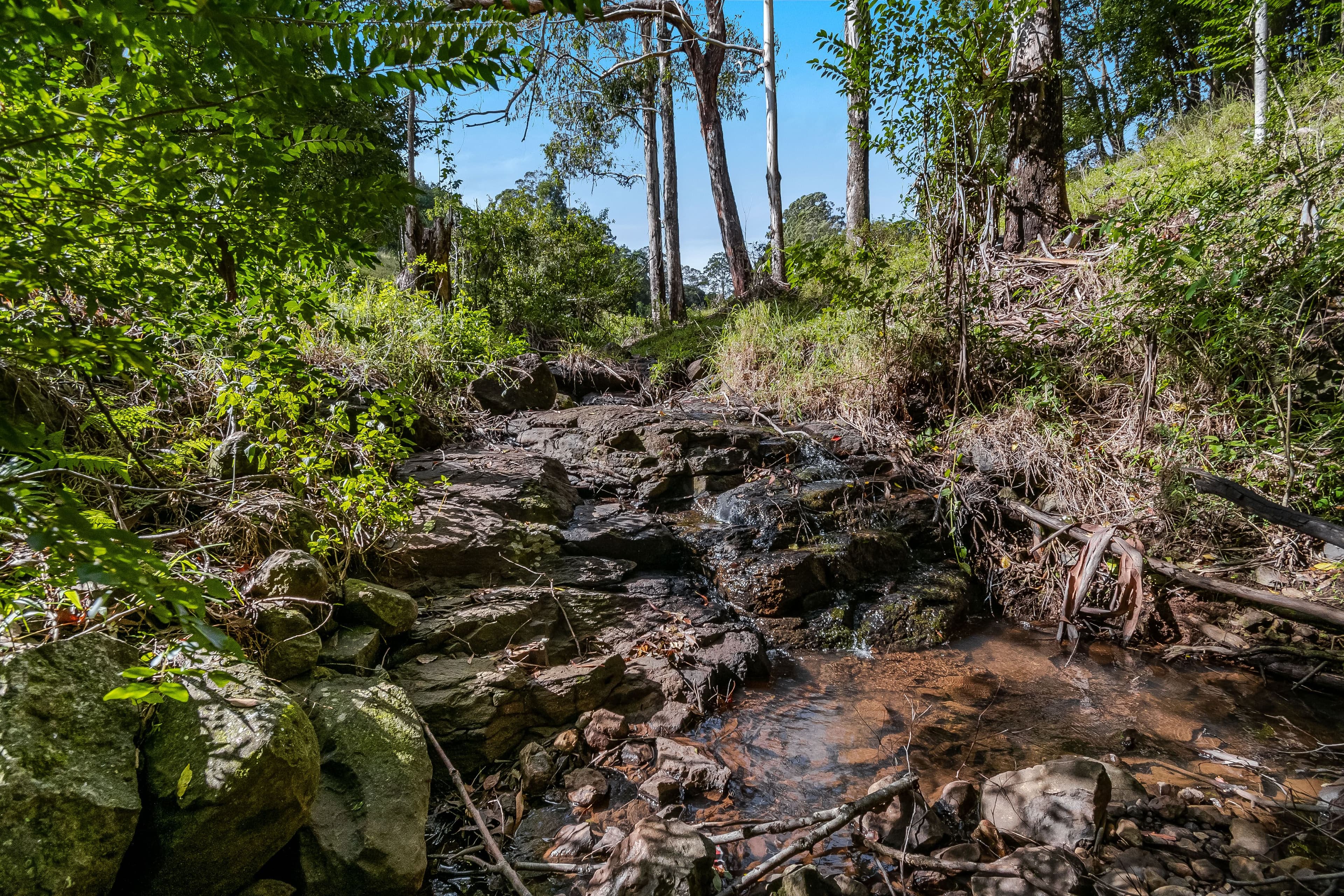 222 Friday Hut Road, Possum Creek NSW 2479, Possum Creek - Thumbnail 6