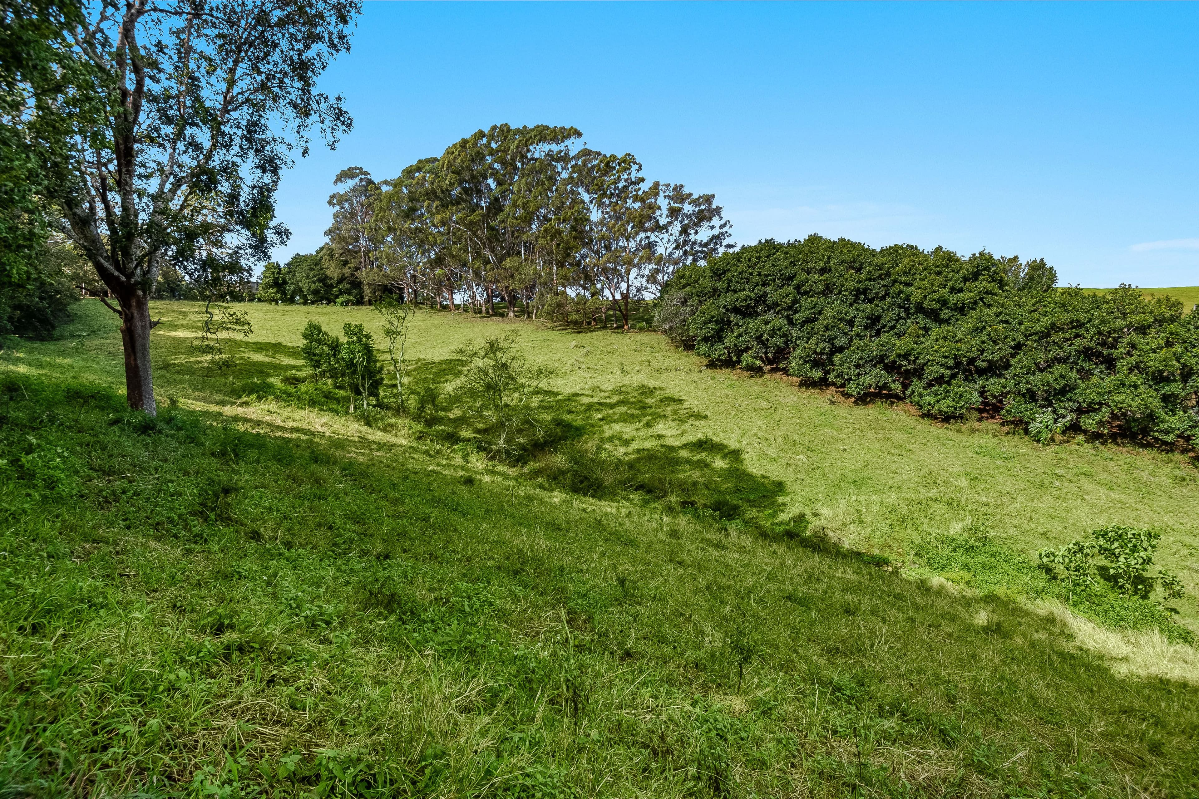 222 Friday Hut Road, Possum Creek NSW 2479, Possum Creek - Thumbnail 7
