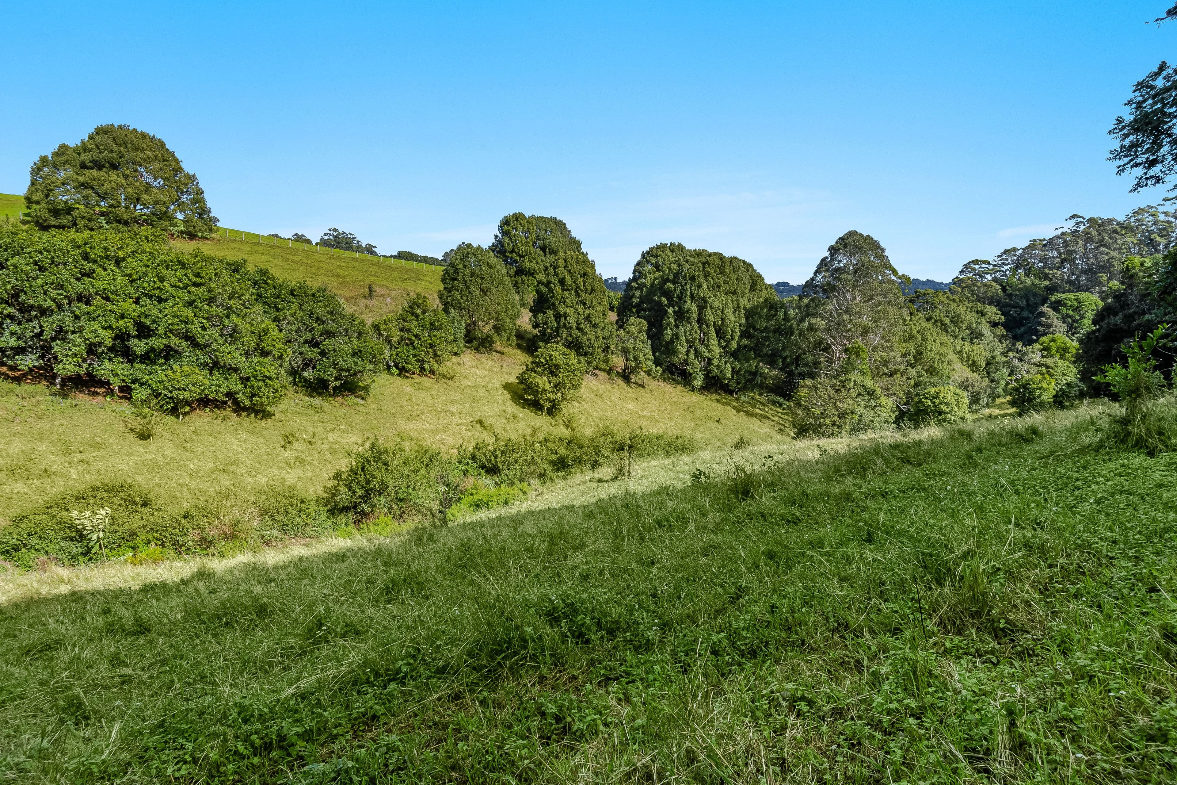 222 Friday Hut Road, Possum Creek NSW 2479, Possum Creek - Thumbnail 8