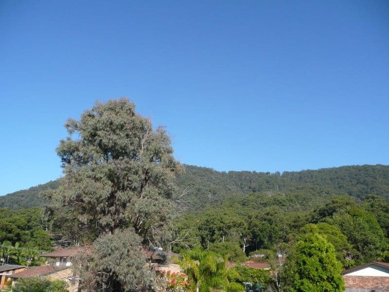 4 Blackbutt Crescent, LAURIETON NSW 2443, Laurieton - Thumbnail 2