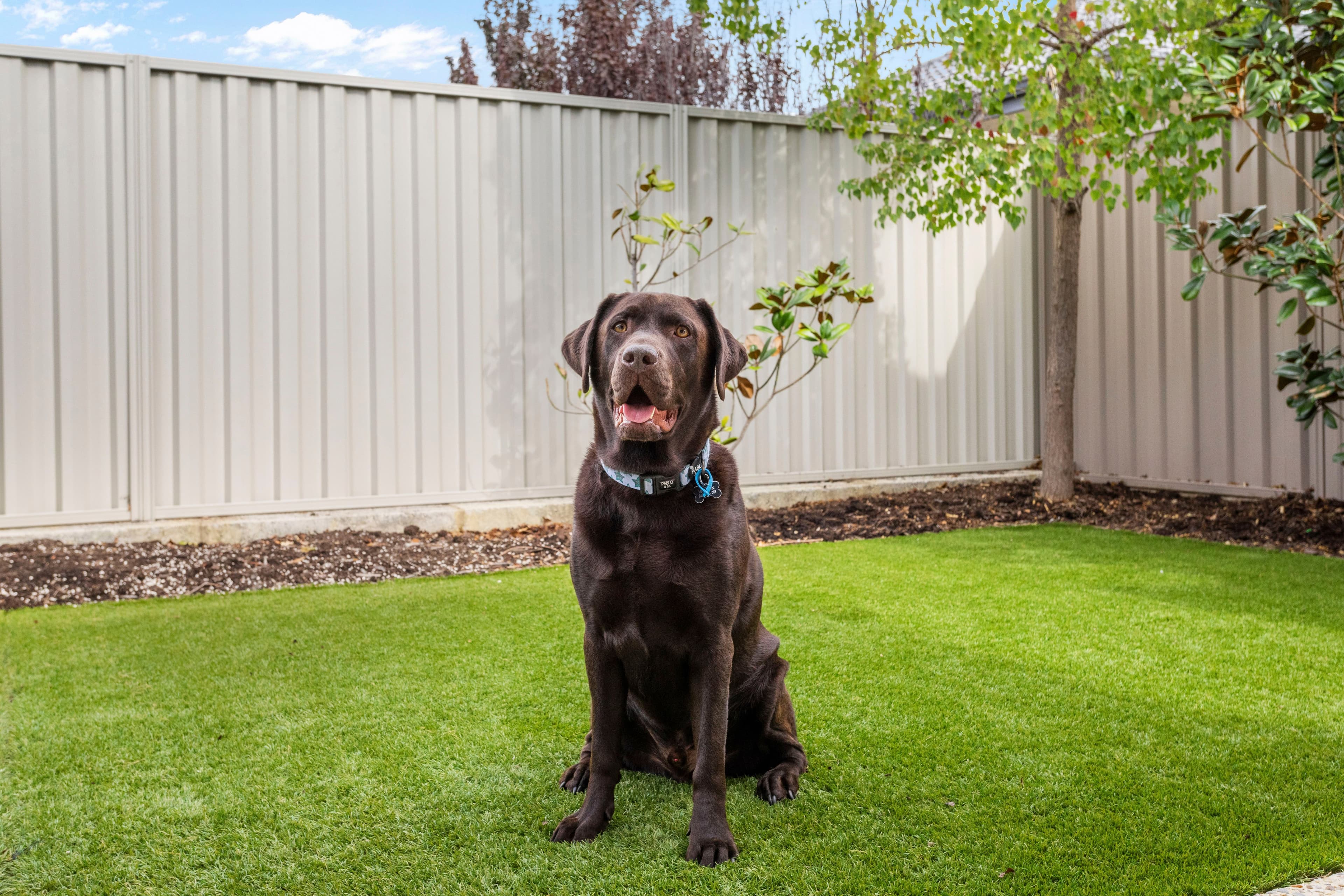 5 Orr Place, Stirling WA 6021, Stirling - Image 1