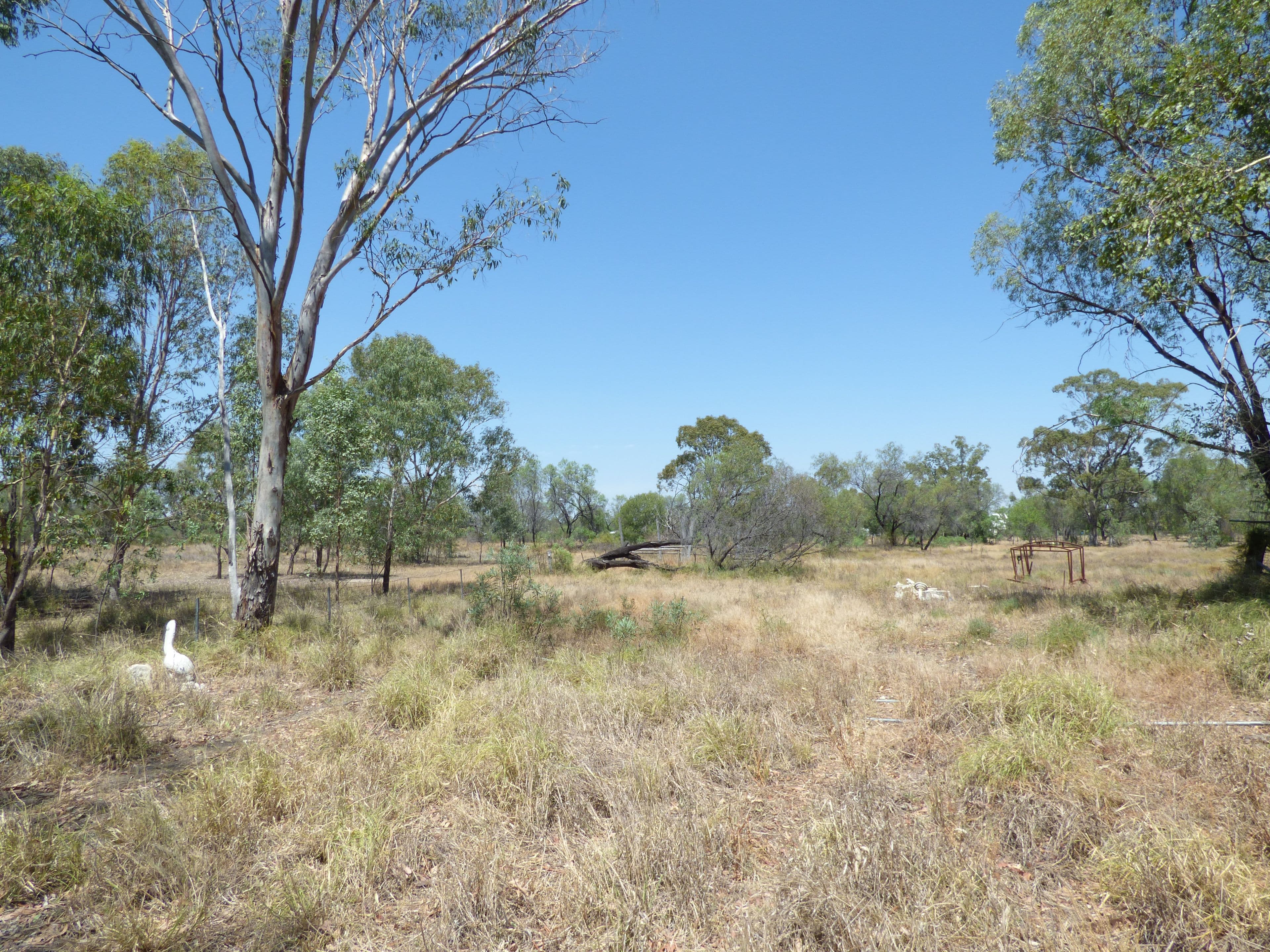 125 edwardes, Roma QLD 4455, Roma - Thumbnail 3