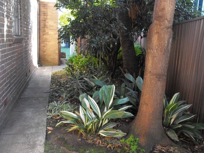 65 Evaline Street, CAMPSIE NSW 2194, Campsie - Thumbnail 3