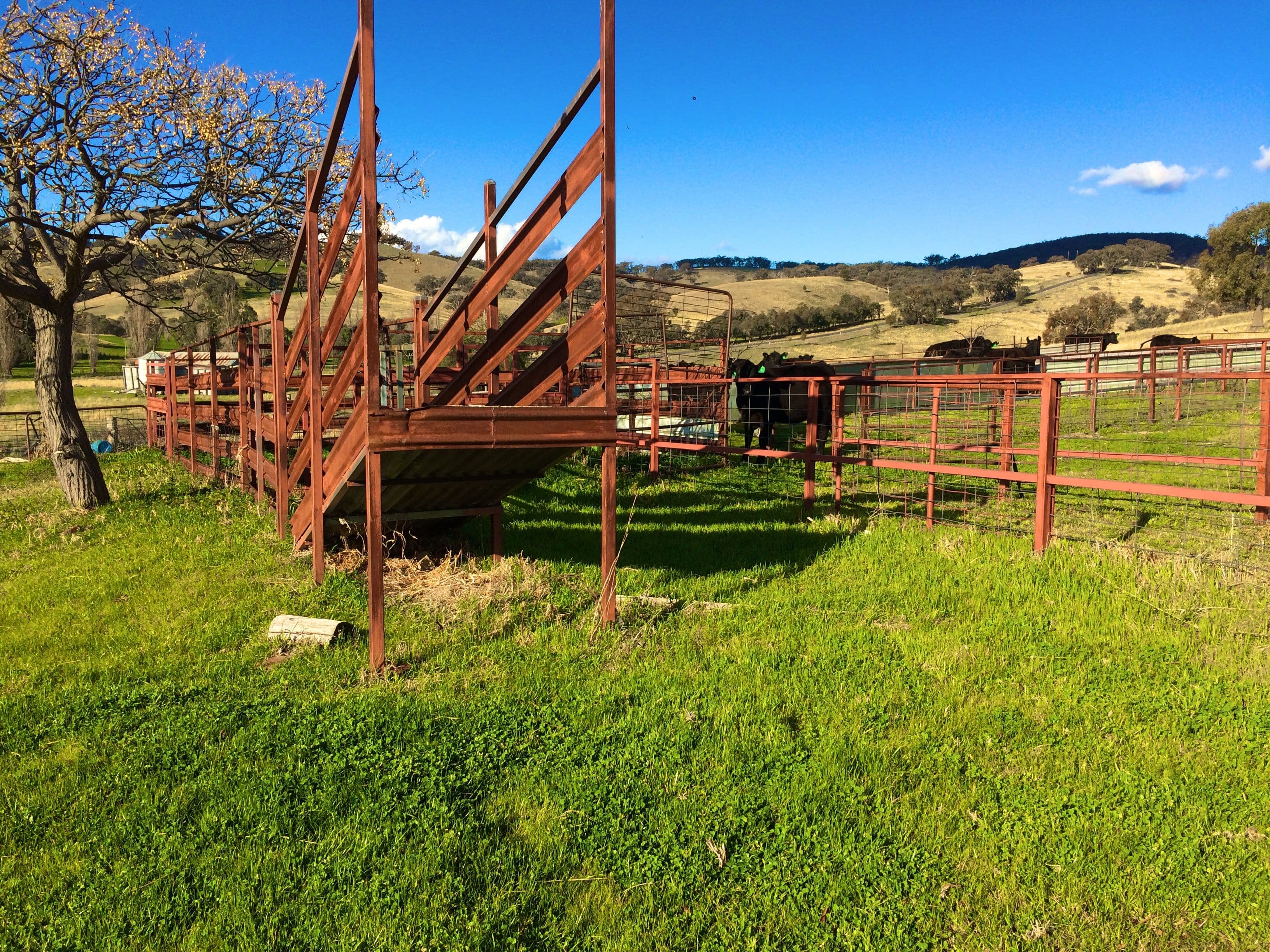 Lot 2 Mount McDonald Road, WYANGALA DAM NSW 2808, Wyangala - Thumbnail 2