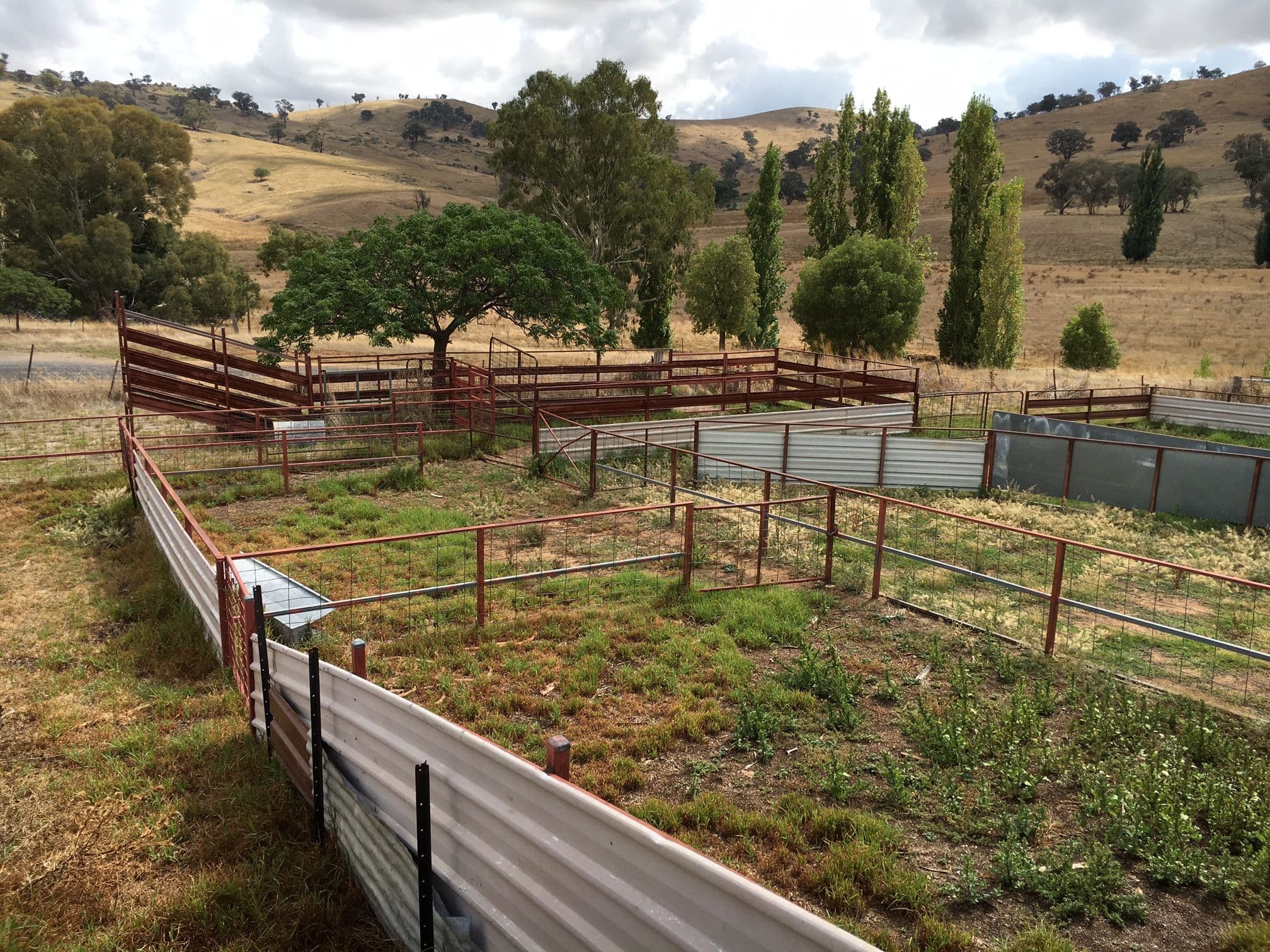 Lot 2 Mount McDonald Road, WYANGALA DAM NSW 2808, Wyangala - Thumbnail 3