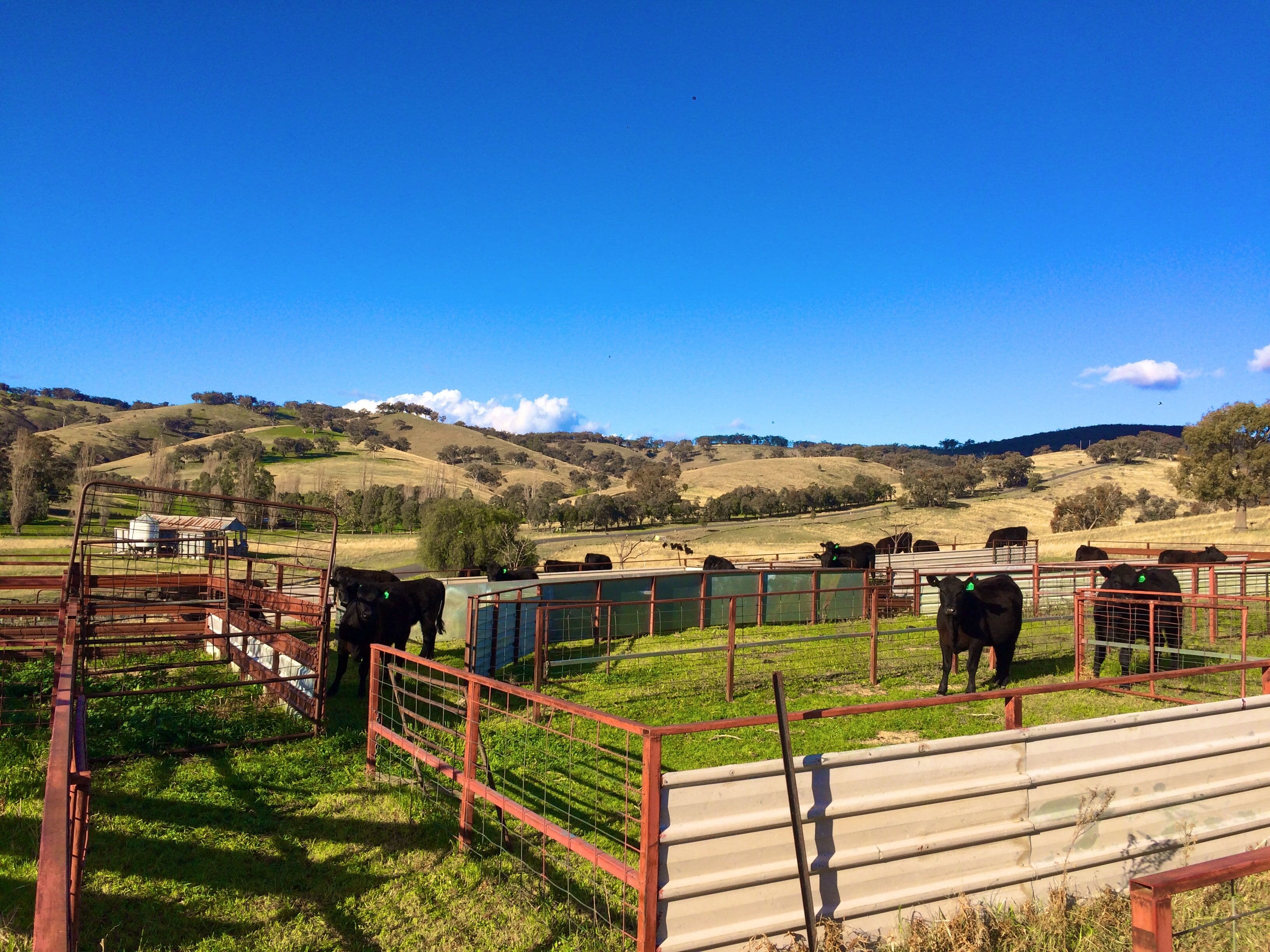 Lot 2 Mount McDonald Road, WYANGALA DAM NSW 2808, Wyangala - Thumbnail 6