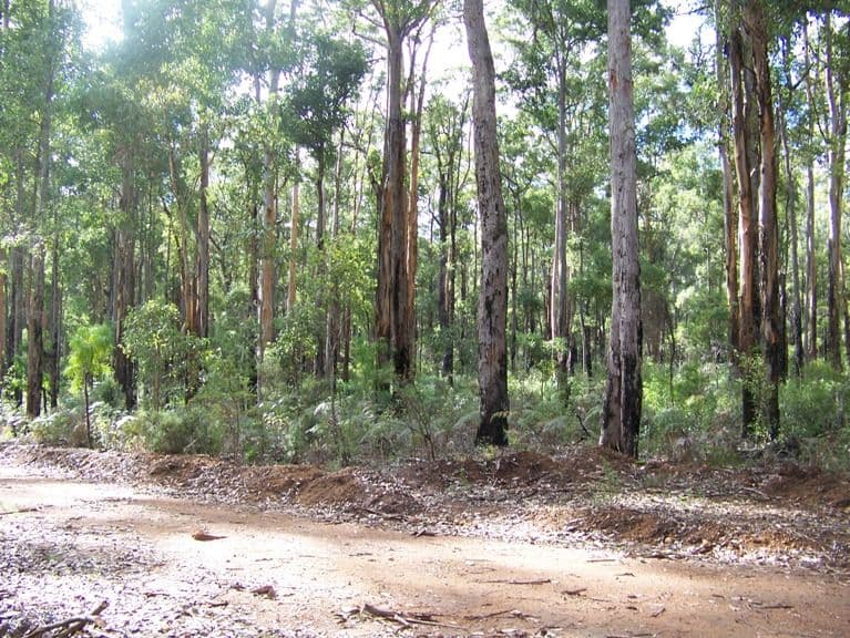 119 Karri Lane, QUINNINUP WA 6258, Quinninup - Thumbnail 4