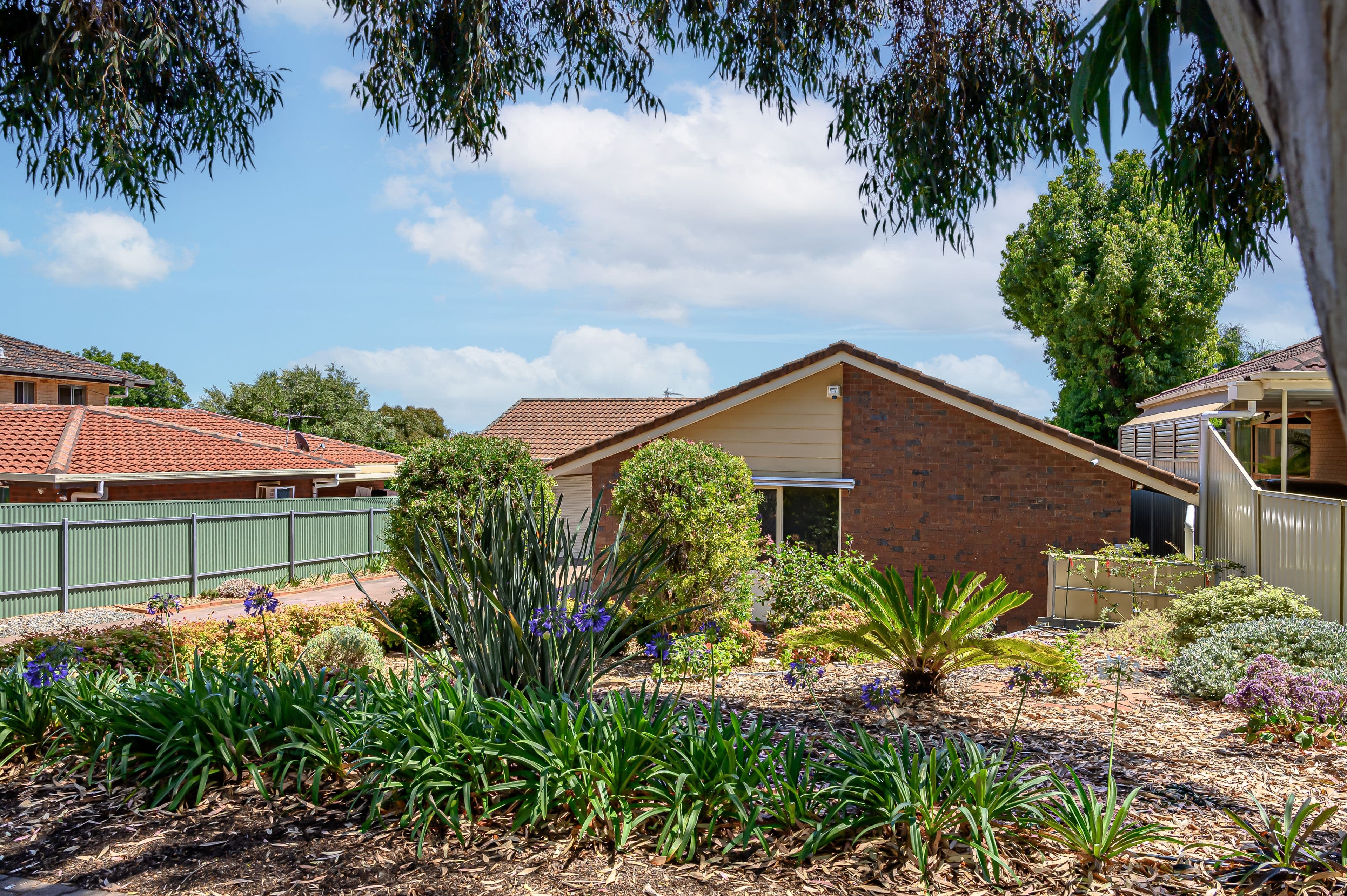 15 Cash Grove, Pasadena SA 5042, Pasadena - Thumbnail 3