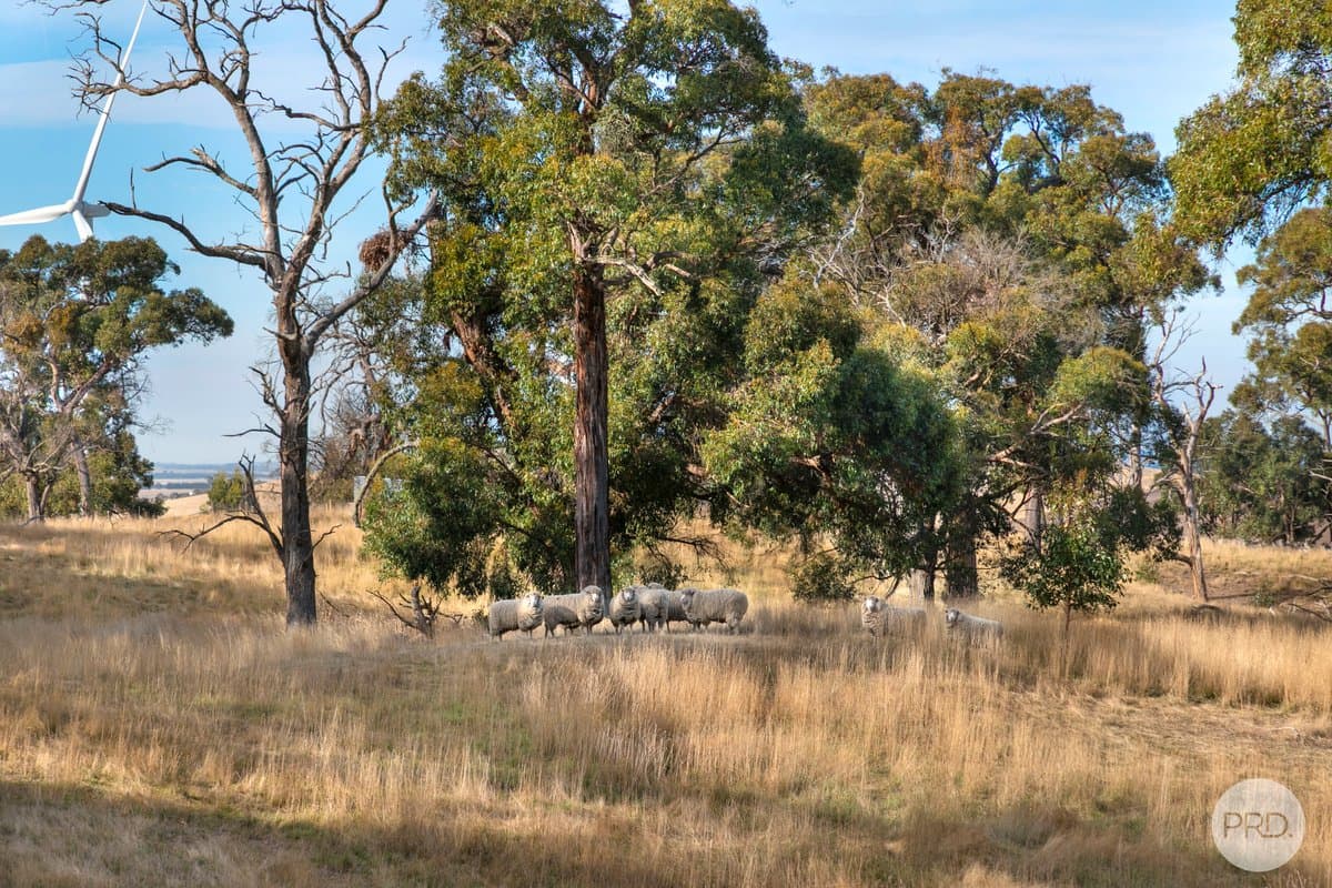 1 Ellis Road, BEAUFORT VIC 3373, Beaufort - Thumbnail 5
