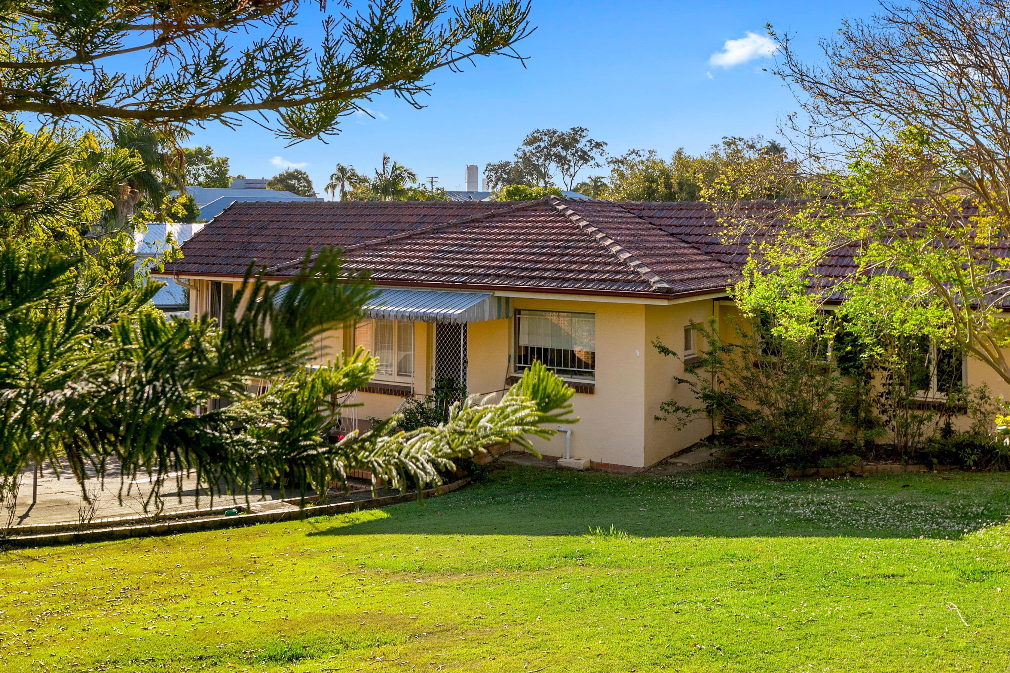 113 Macdonald Street, Norman Park QLD 4170, Norman Park - Thumbnail 5