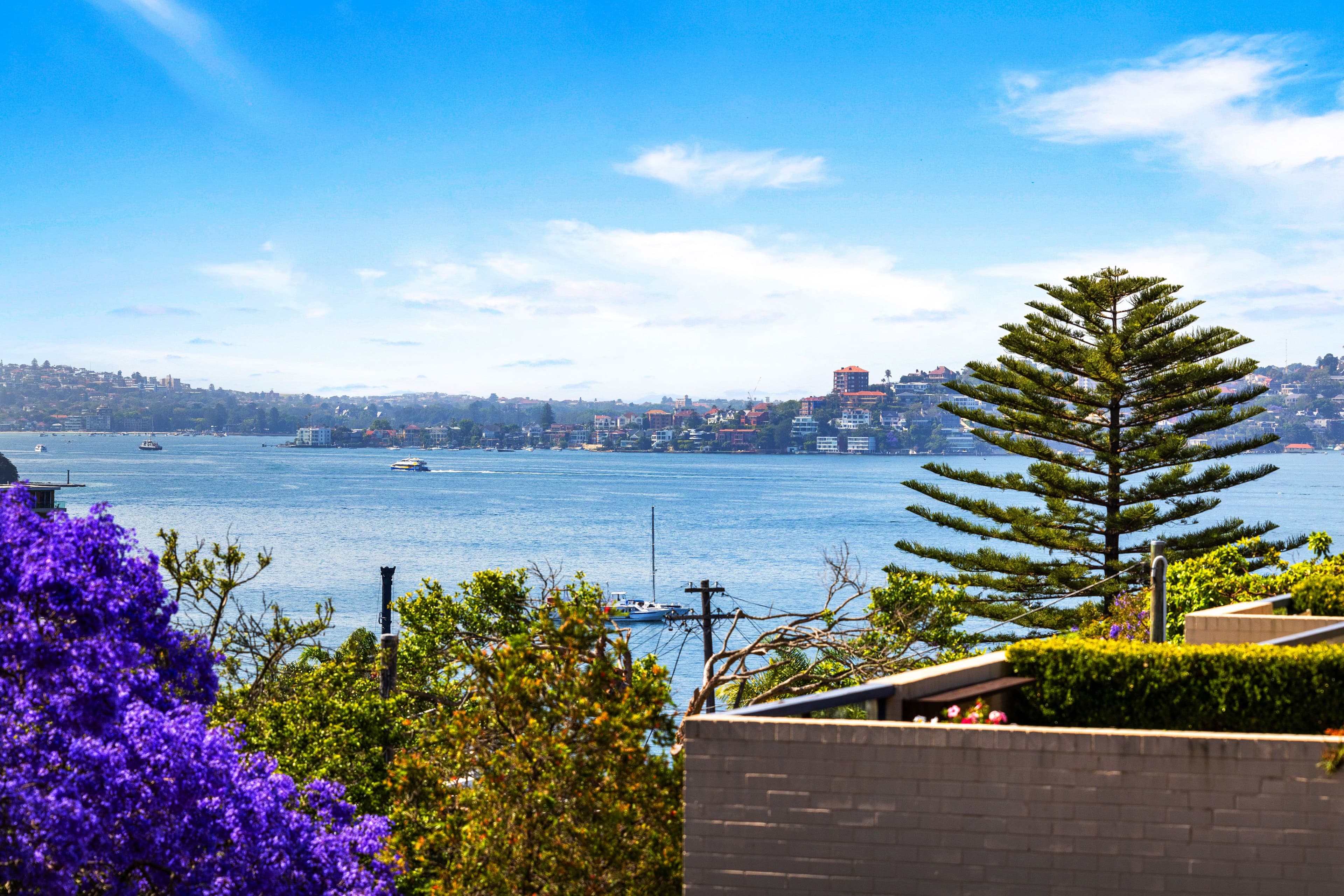 22 Kareela Road, Cremorne Point NSW 2090, Cremorne Point - Thumbnail 4