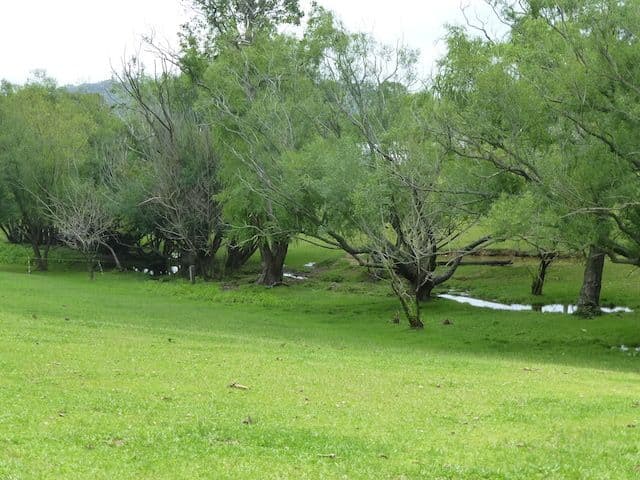 8 Ferndale Road, Bundanoon NSW 2578, Bundanoon - Thumbnail 2