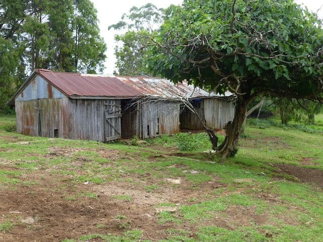 8 Ferndale Road, Bundanoon NSW 2578, Bundanoon - Thumbnail 4