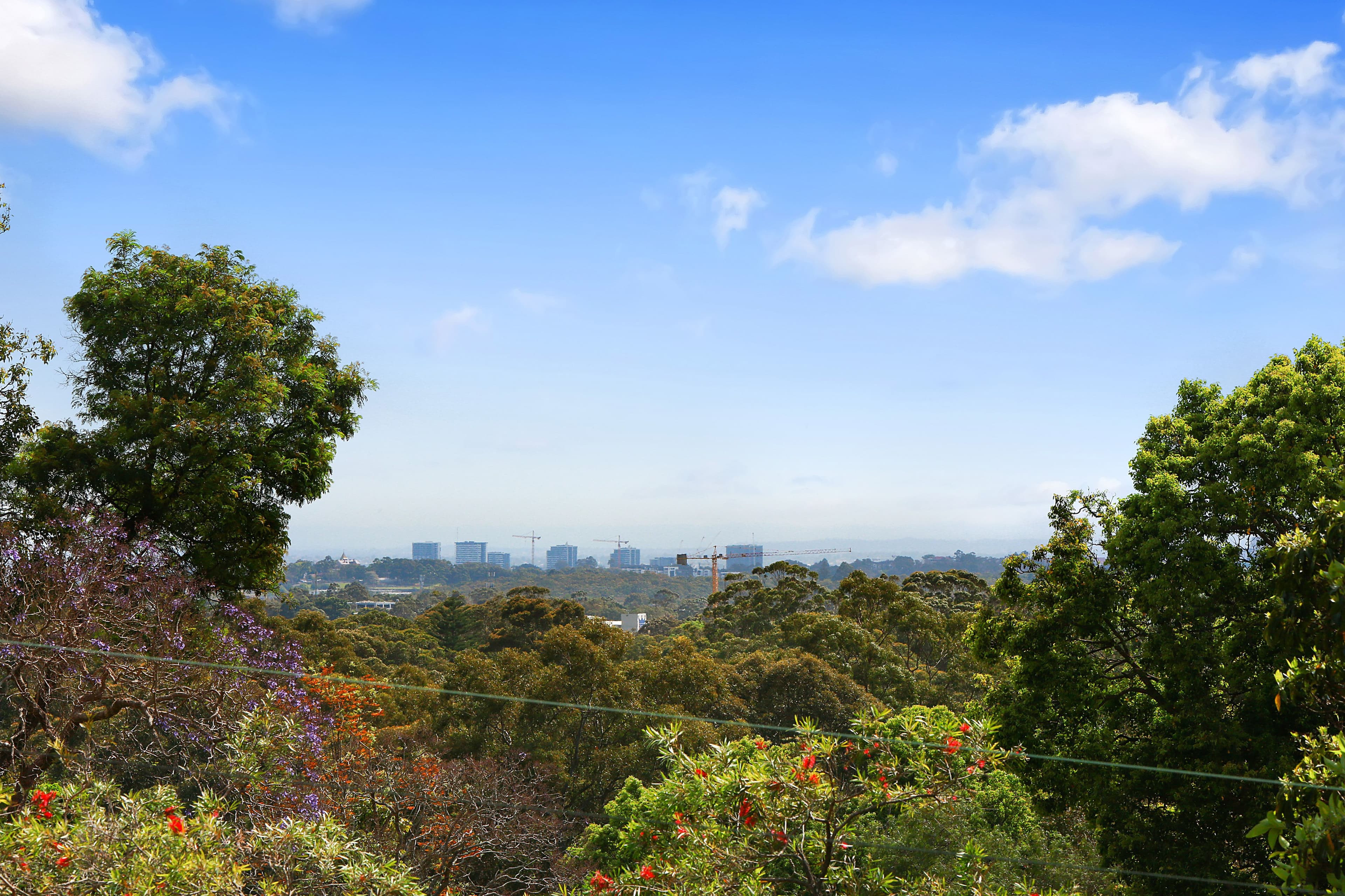 25 Goodchap Road, Chatswood NSW 2067, Chatswood - Image 1