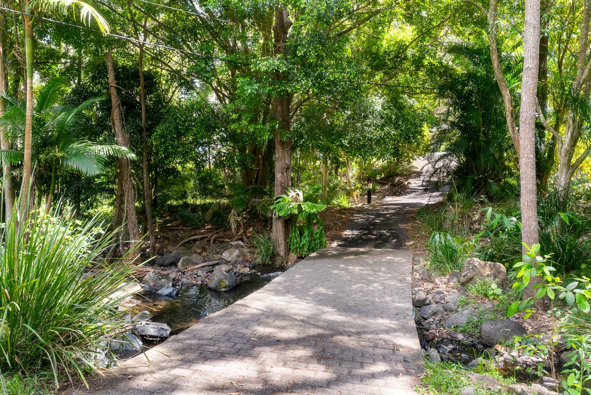 130 Bluegum Drive, Wonglepong QLD 4275, Wonglepong - Thumbnail 4