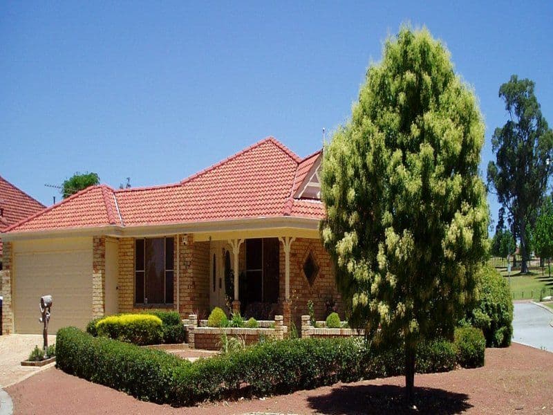 29 Bridgeman Way, BALDIVIS WA 6171, Baldivis - Image 1