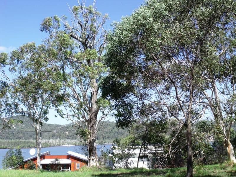 9 Double Island Outlook, RUSSELL ISLAND QLD 4184, Russell Island - Image 1