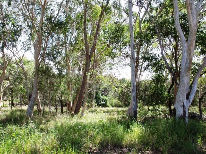 9 Double Island Outlook, RUSSELL ISLAND QLD 4184, Russell Island - Thumbnail 4