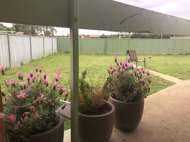 2 Algona Crescent, Orange - Thumbnail 6