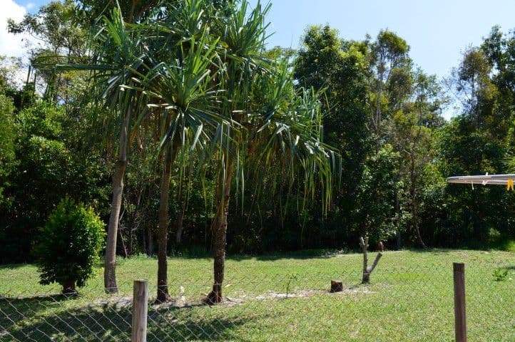 42 Mariner Drive, SOUTH MISSION QLD 4852, South Mission Beach - Thumbnail 5