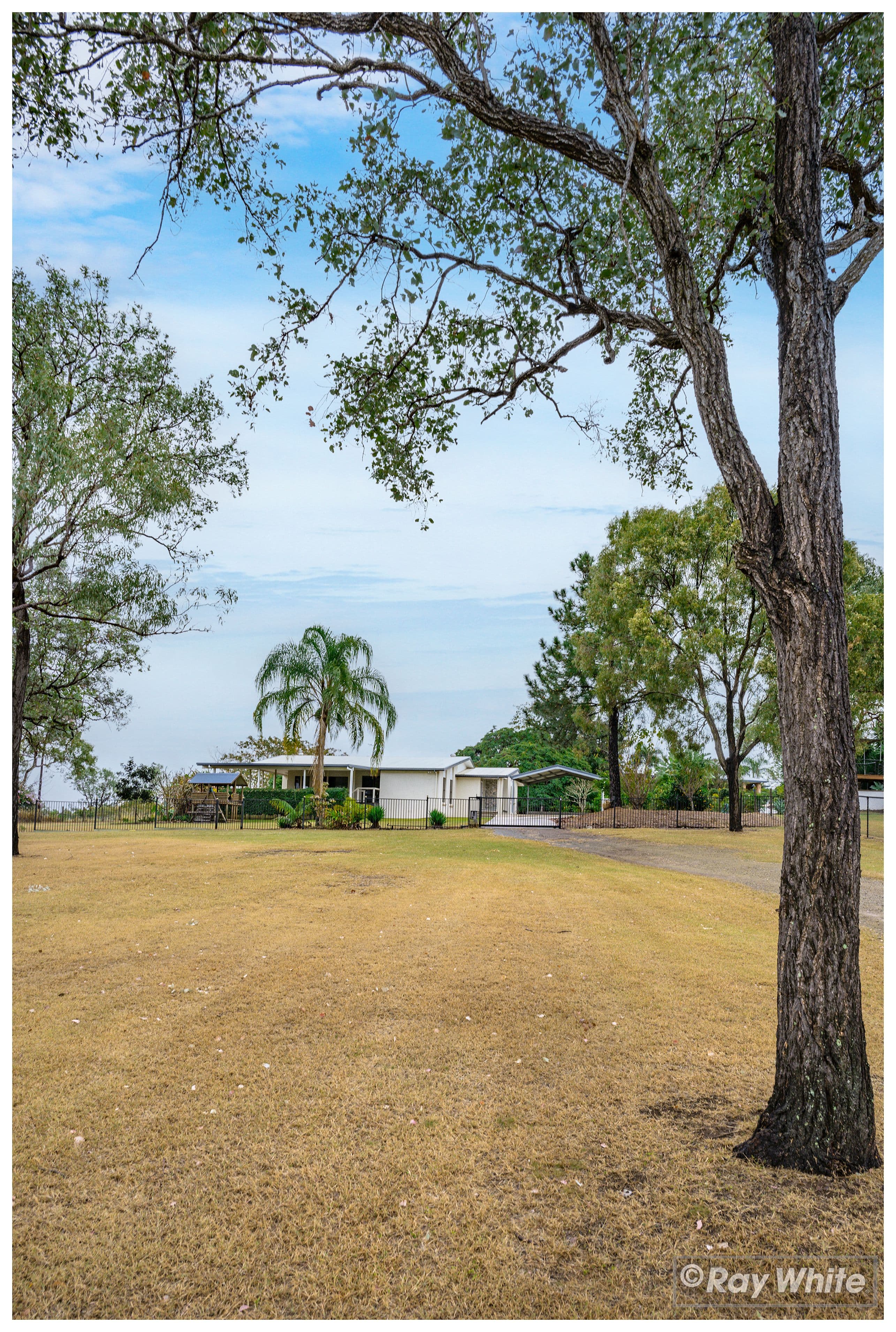 77 BUNYA Road, Rockyview QLD 4701, Rockyview - Thumbnail 3