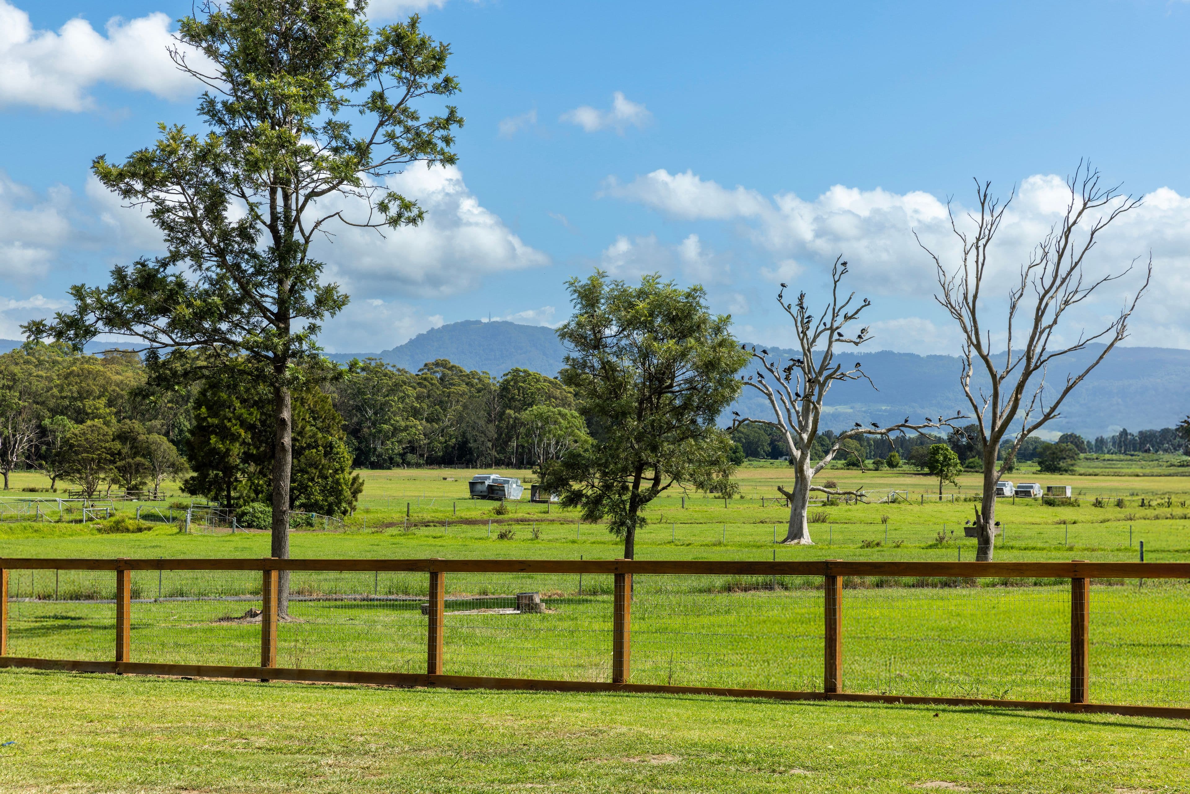 302 Millbank Road, Worrigee NSW 2540, Worrigee - Thumbnail 3