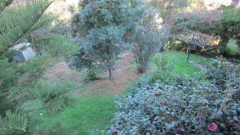 12 Runnyford Road, NELLIGEN NSW 2536, Nelligen - Thumbnail 8