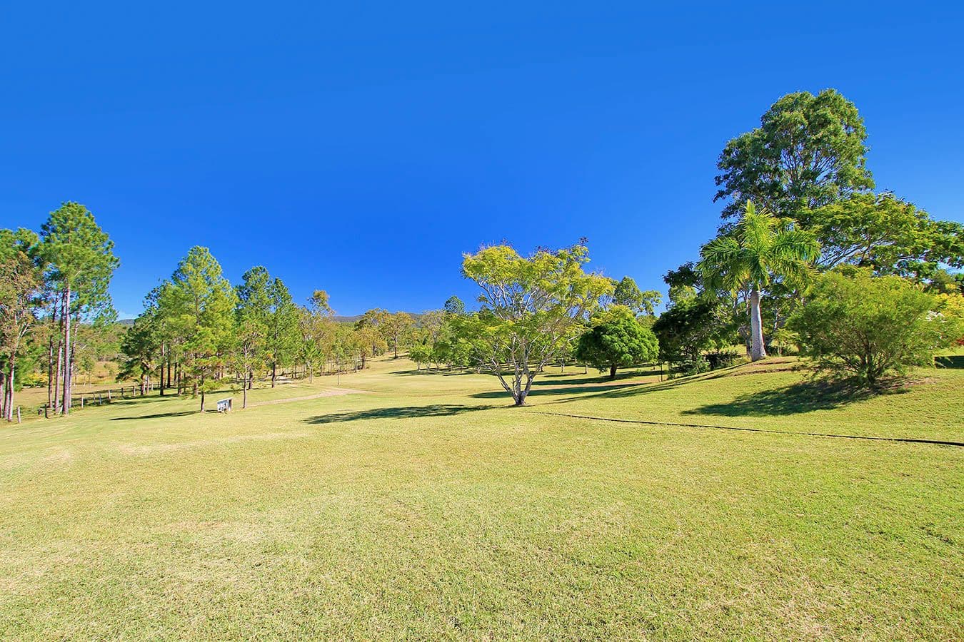 92 Cawarral Road, TUNGAMULL QLD 4702, Tungamull - Thumbnail 2