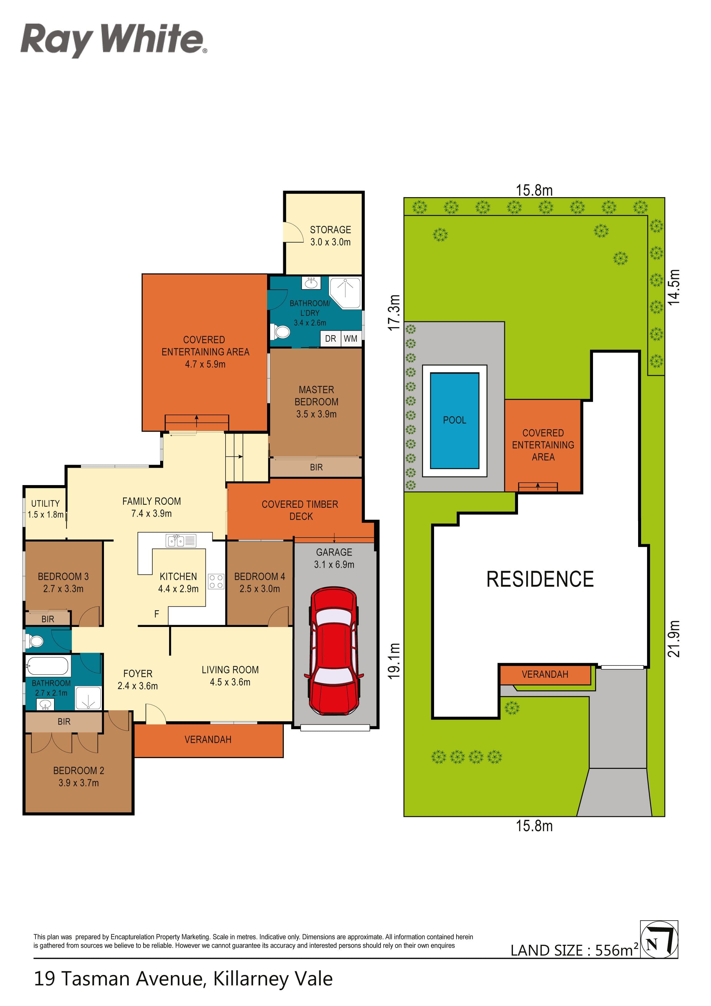 19 Tasman Avenue, Killarney Vale - Thumbnail 8