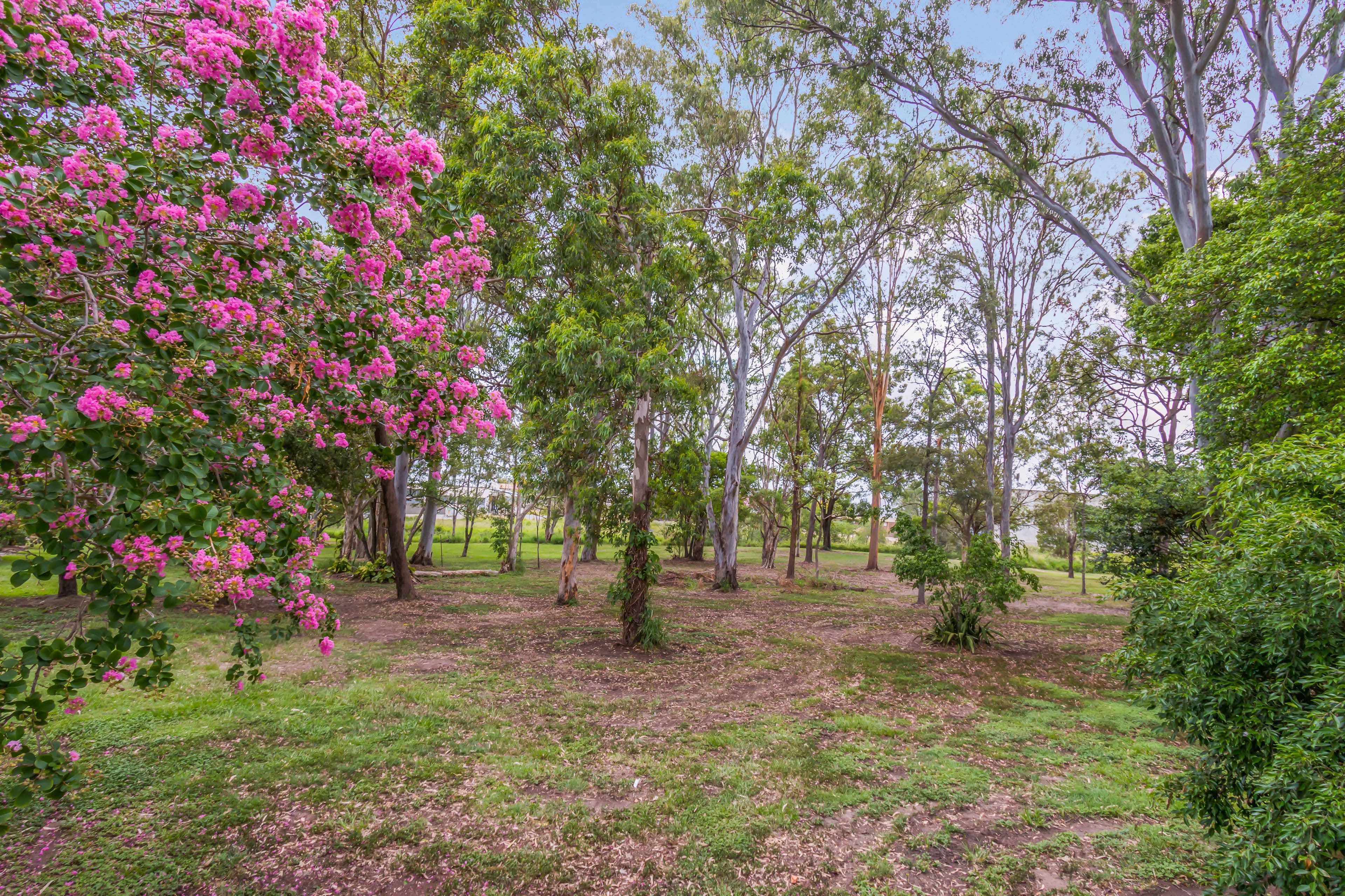 11 John Bright Street, Moorooka QLD 4105, Moorooka - Thumbnail 3