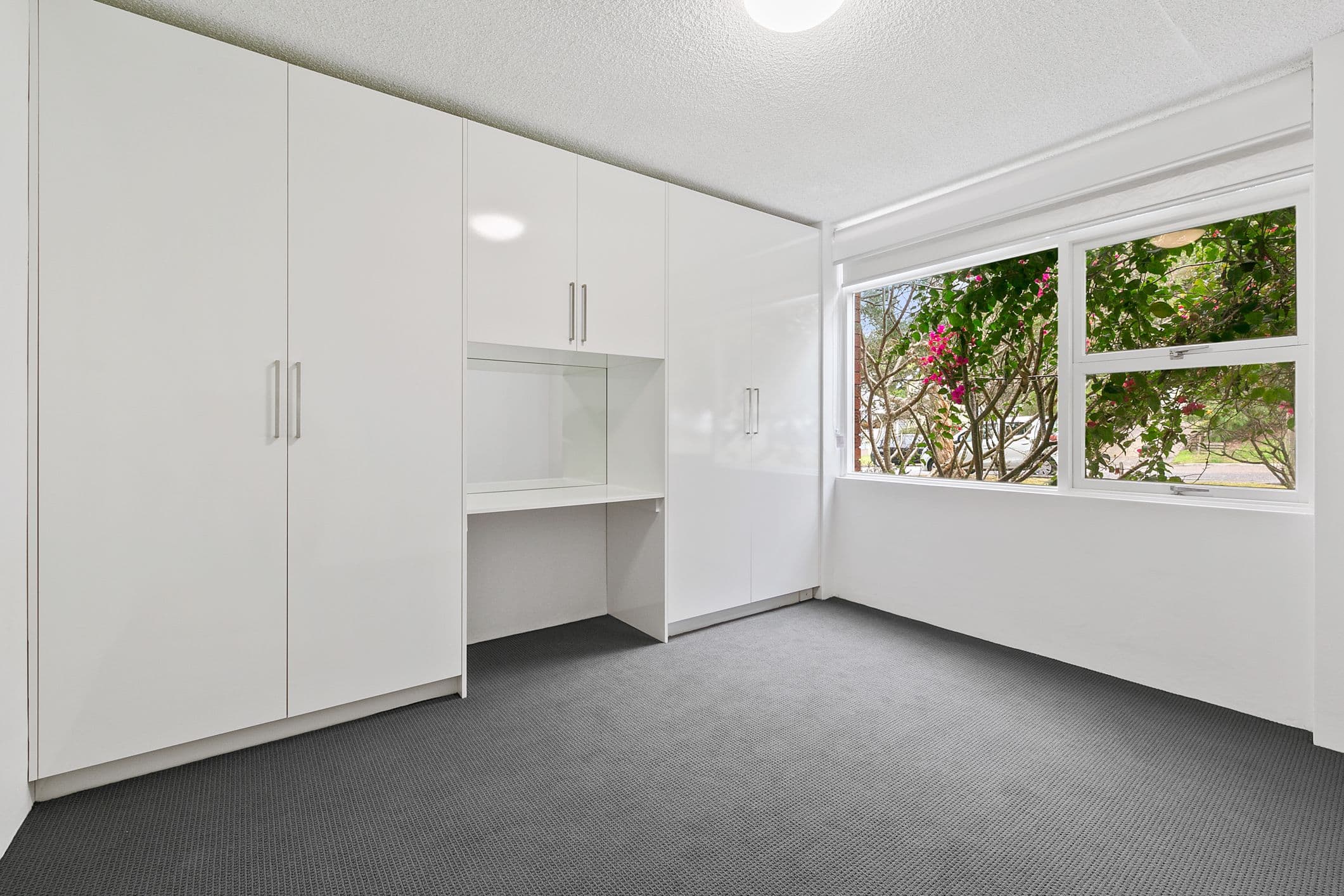 25 Waine Street, Freshwater NSW 2096, Freshwater - Thumbnail 4