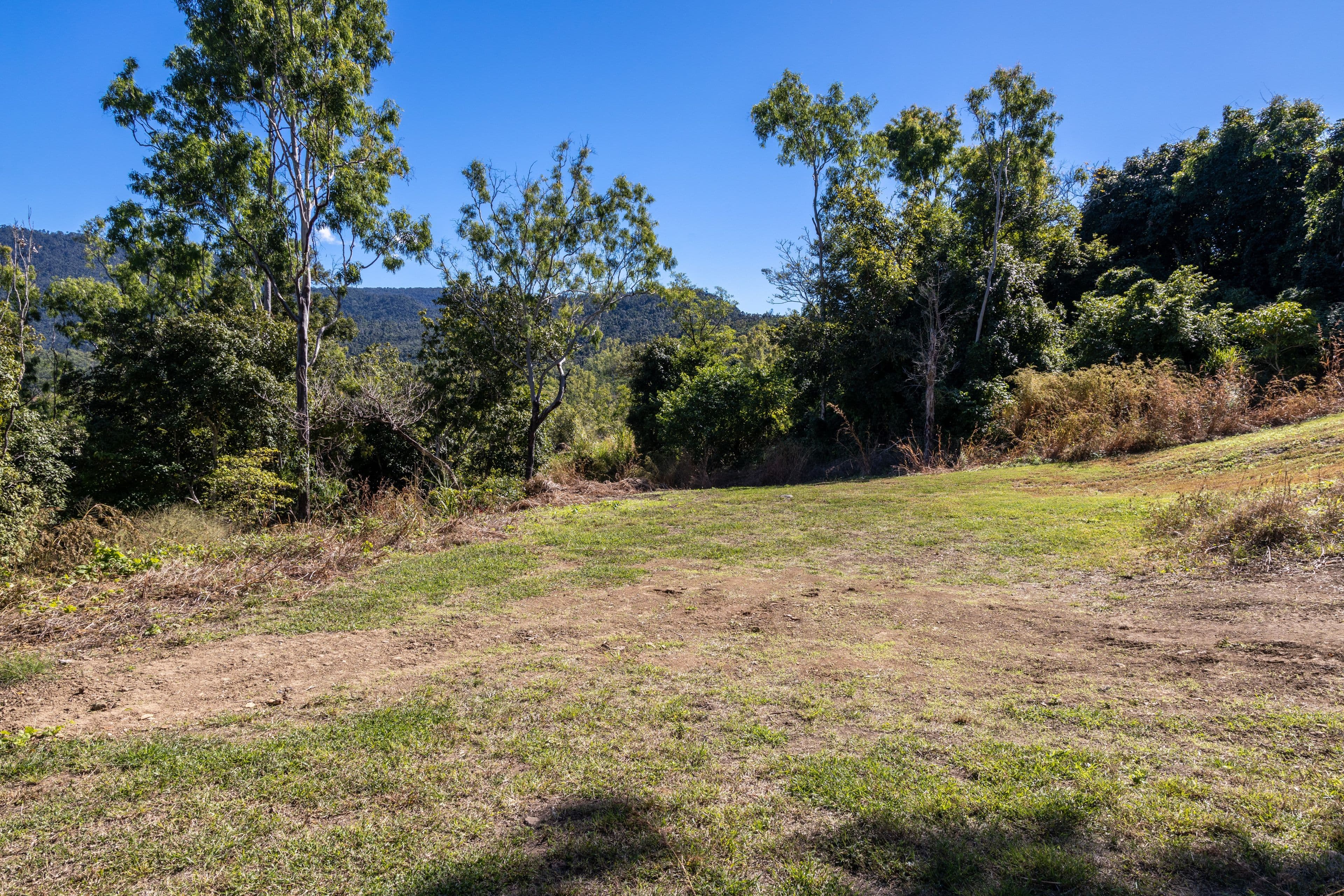 184 Tucker Road, Riordanvale QLD 4800, Riordanvale - Thumbnail 4