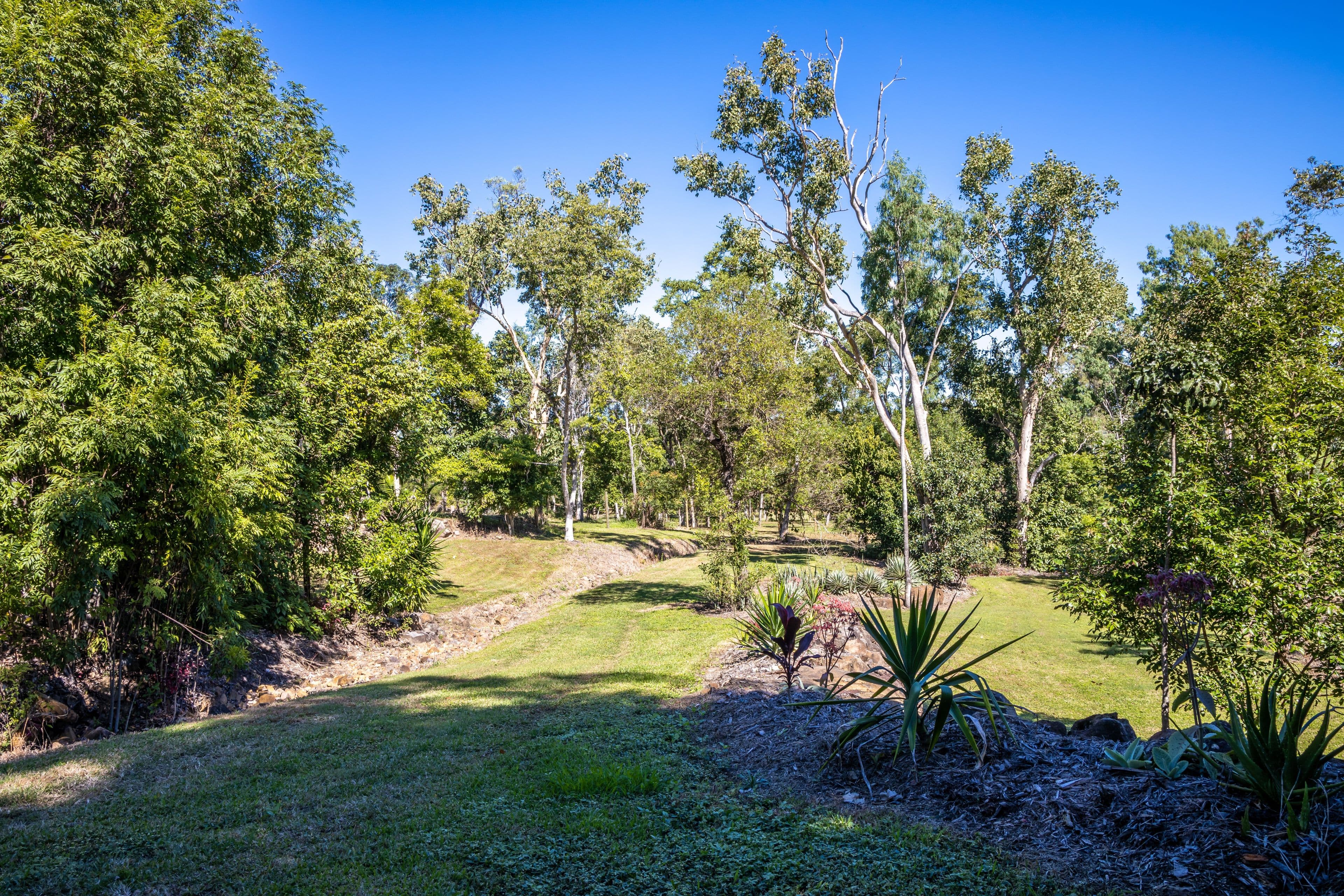 184 Tucker Road, Riordanvale QLD 4800, Riordanvale - Thumbnail 6