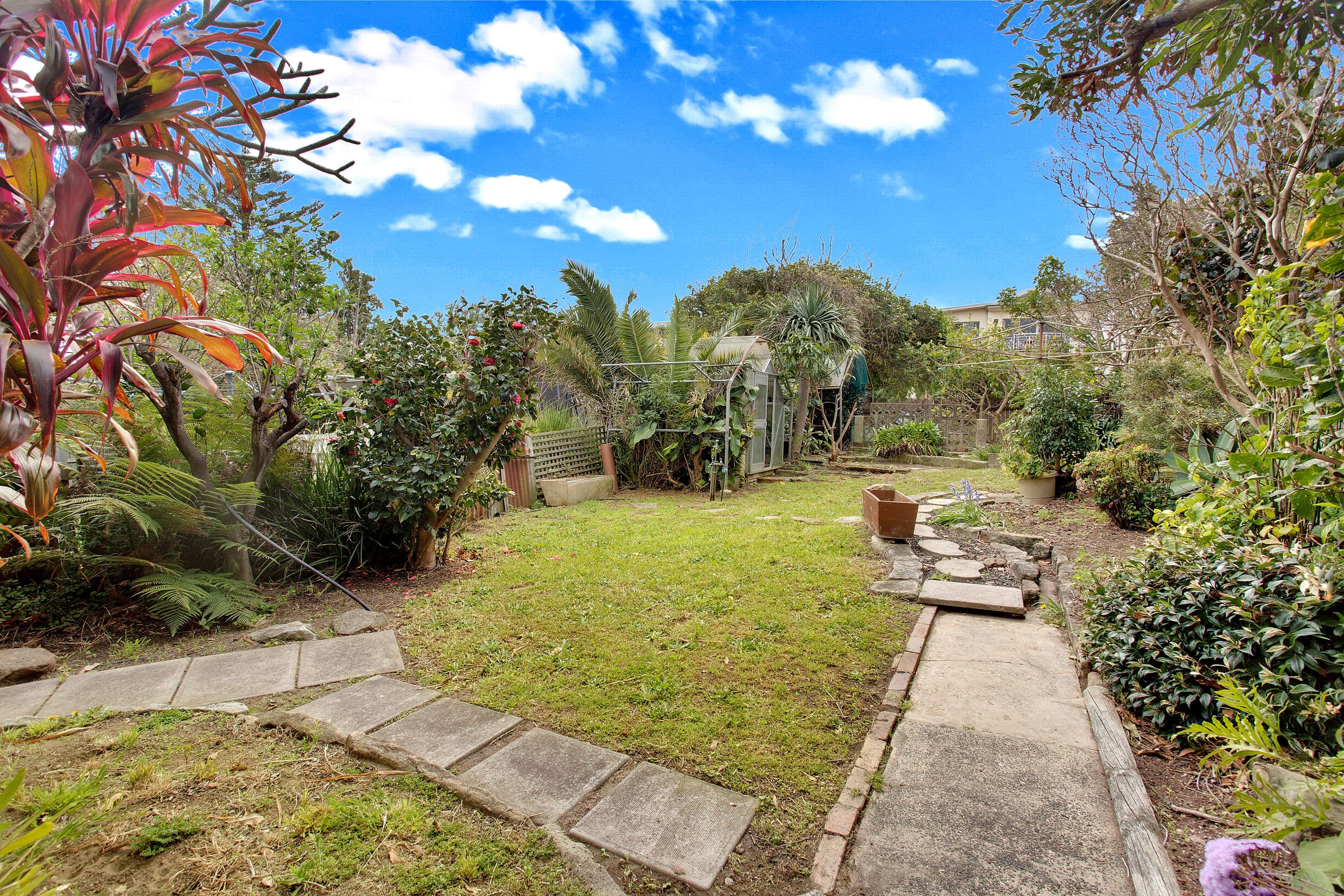8 Austin Avenue, North Curl Curl - Thumbnail 4