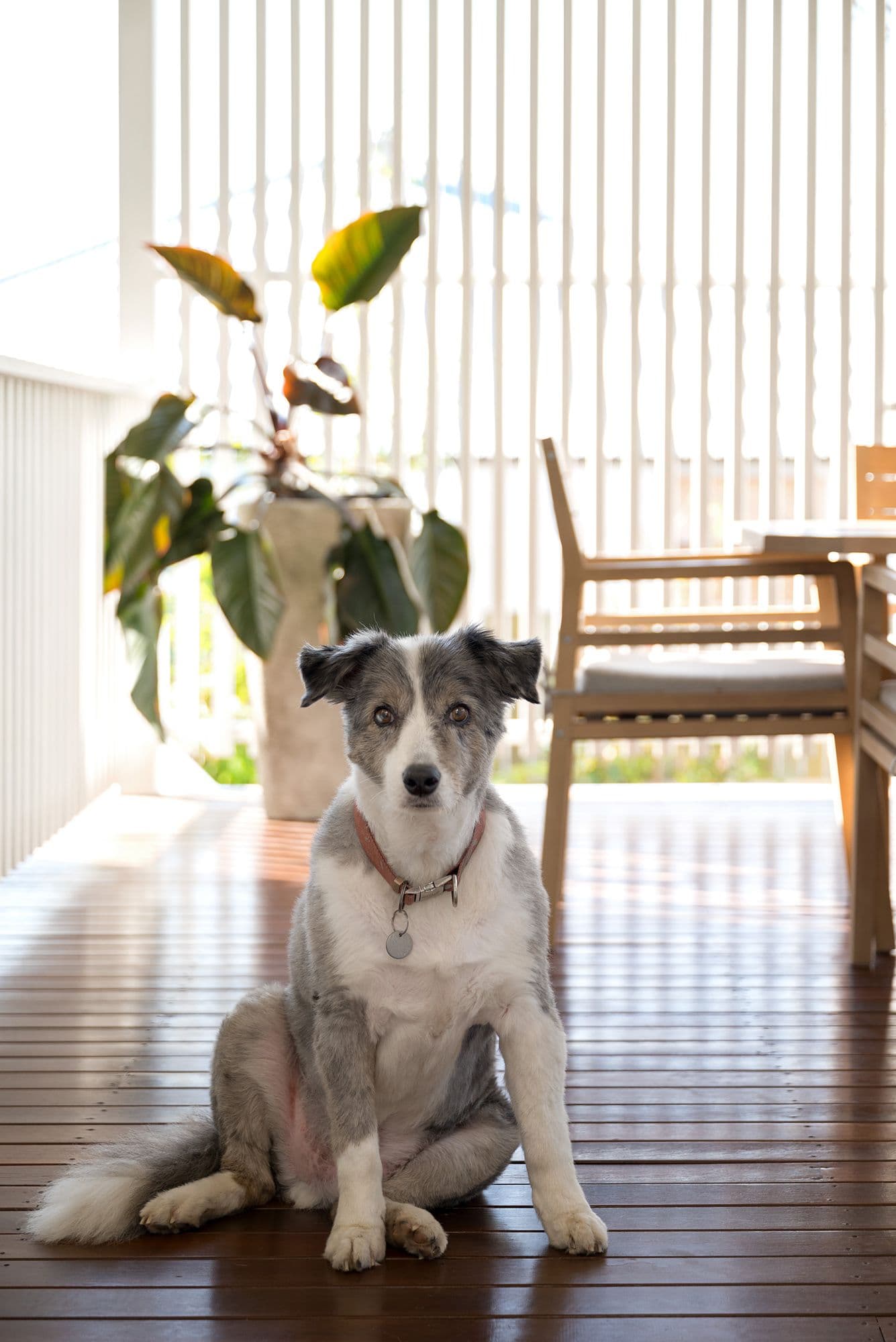 42 Vale Street, Kelvin Grove QLD 4059, Kelvin Grove - Thumbnail 2