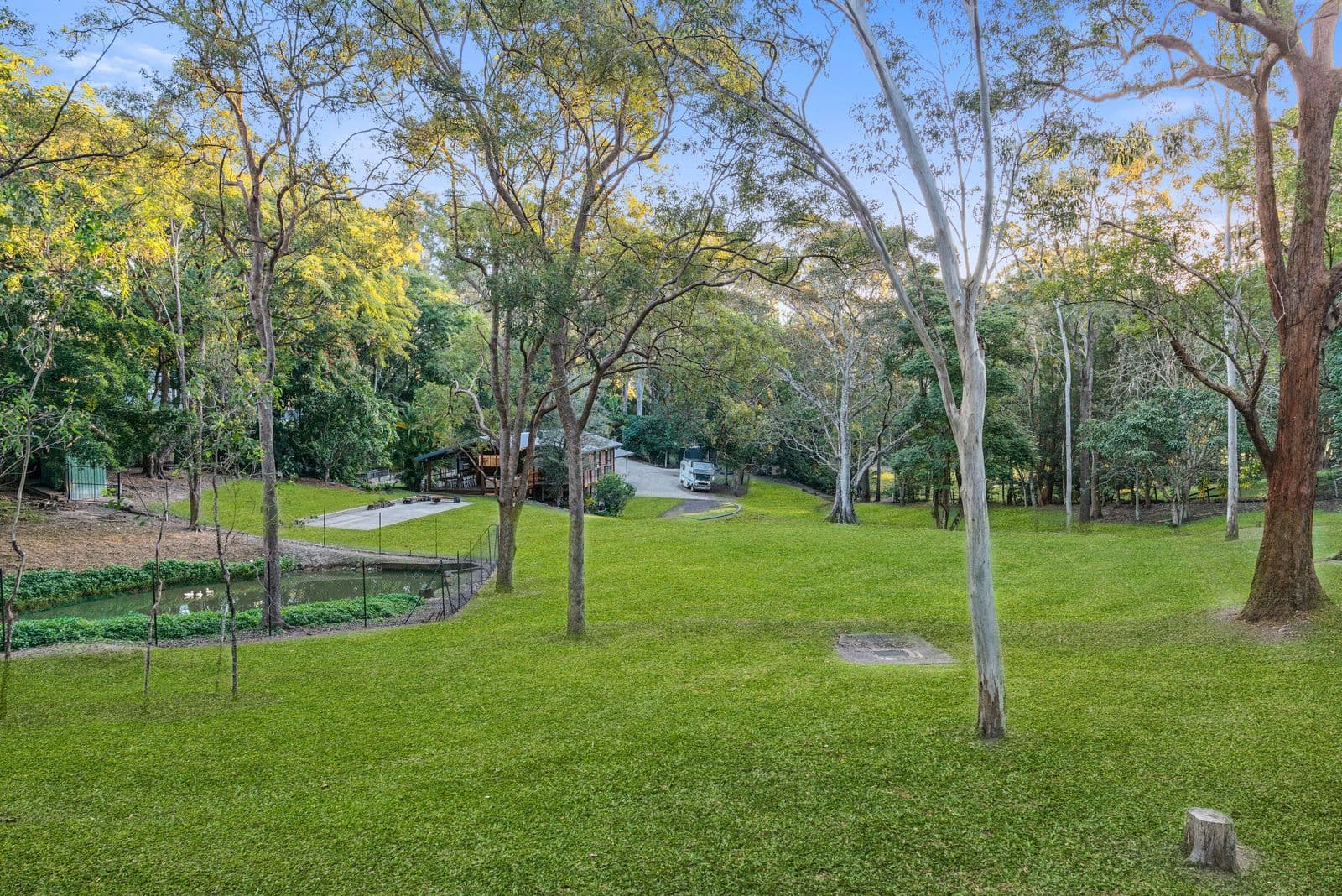 64B Trees Road, Tallebudgera QLD 4228, Tallebudgera - Thumbnail 6