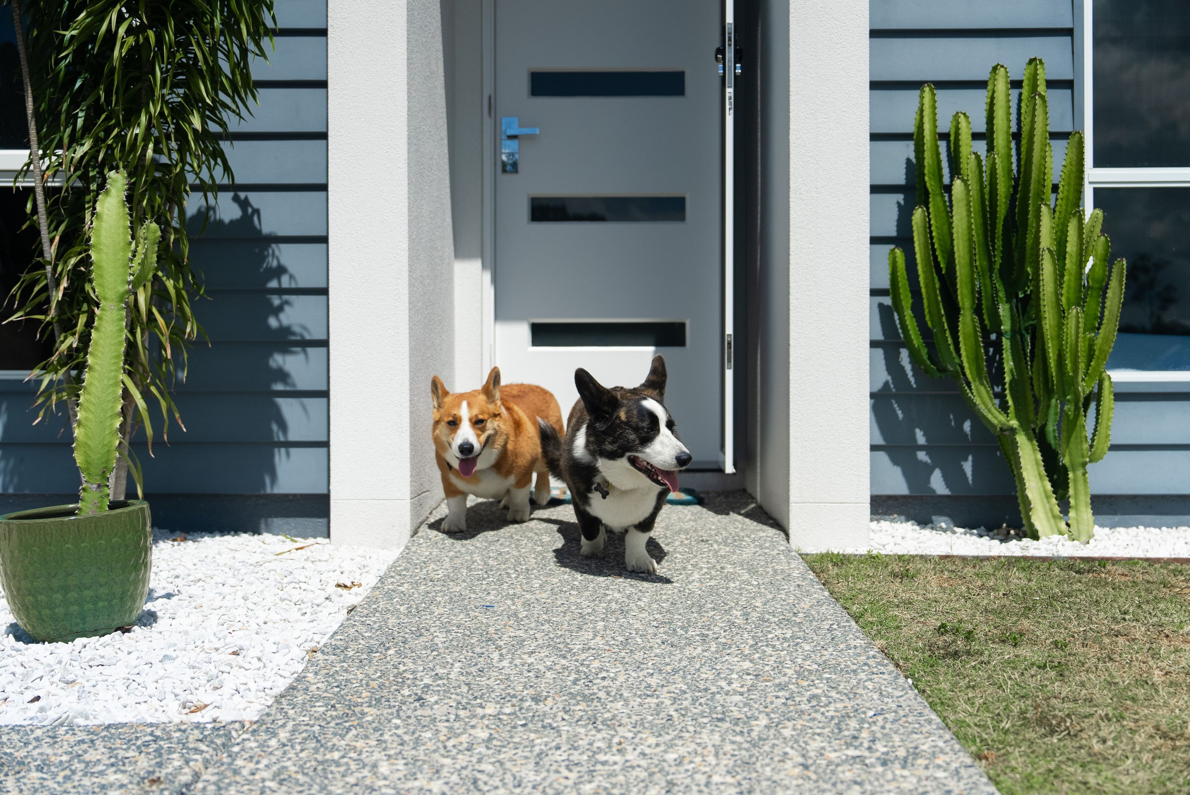171 The Heights Boulevard, Pimpama QLD 4209, Pimpama - Thumbnail 2