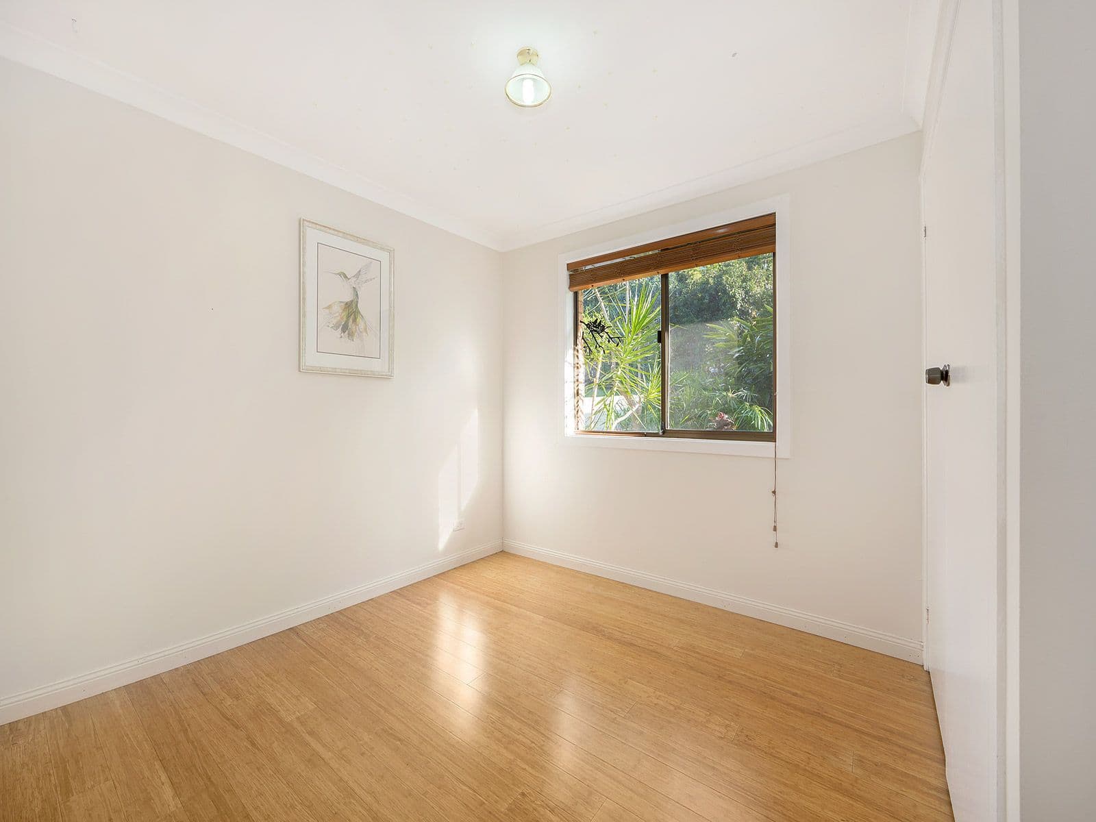 7 Frederick Street, Lismore Heights - Thumbnail 7