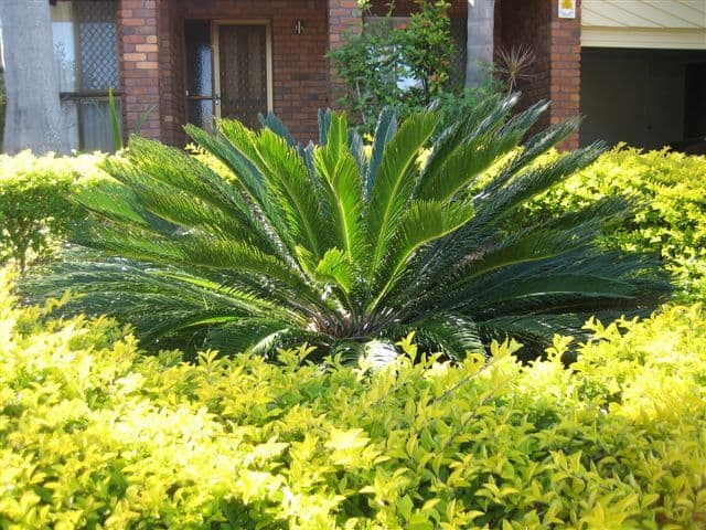 266 Ron Penhaligon Way, ROBINA QLD 4226, Robina - Thumbnail 8