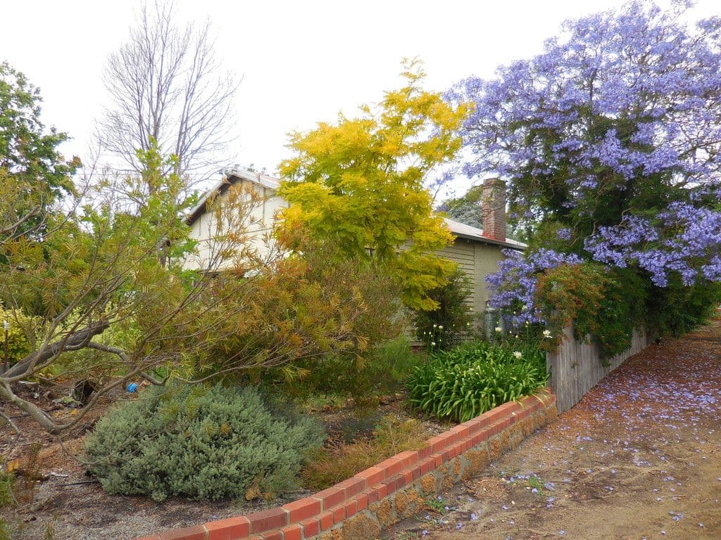 32 Langton Road, Mount Barker WA 6324, Mount Barker - Thumbnail 3